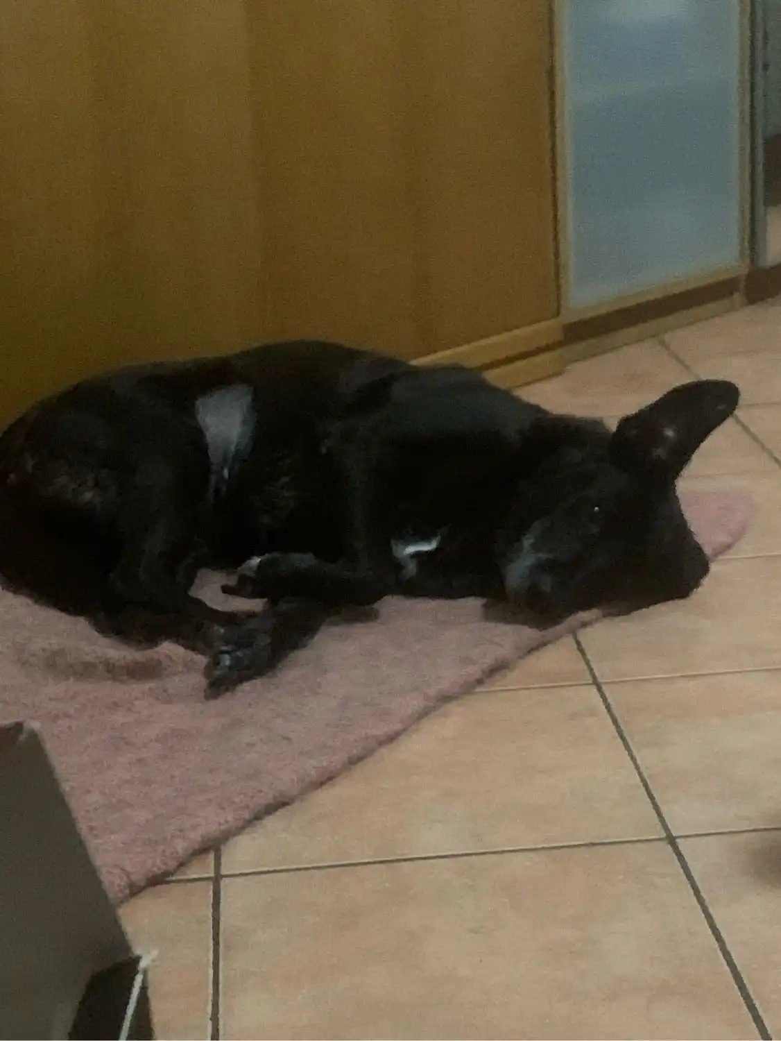 image-7