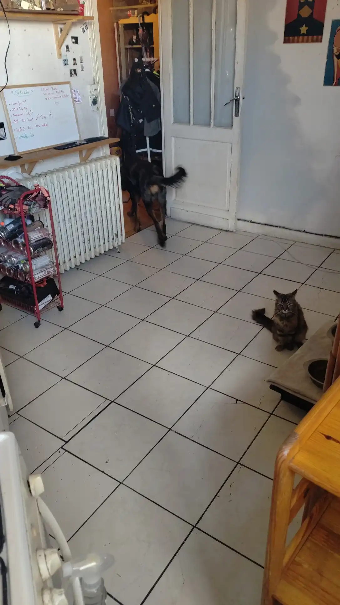 image-13