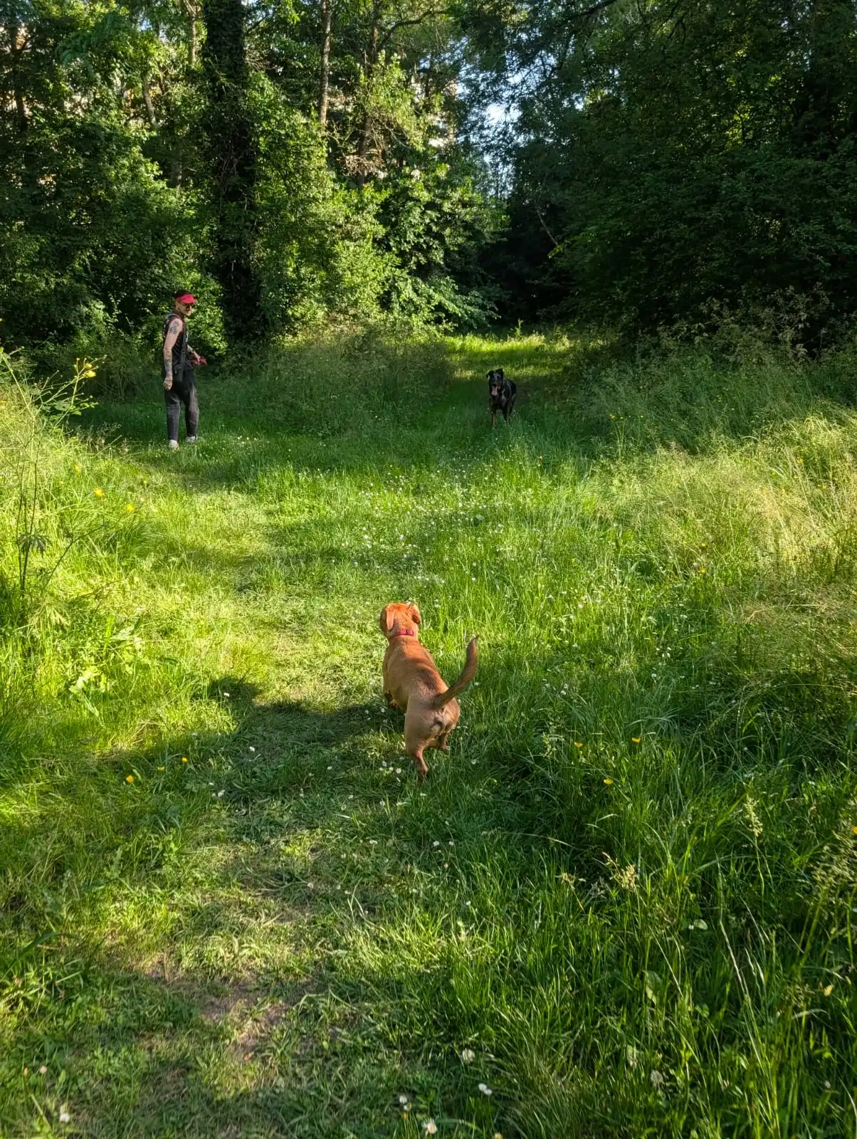 image-17