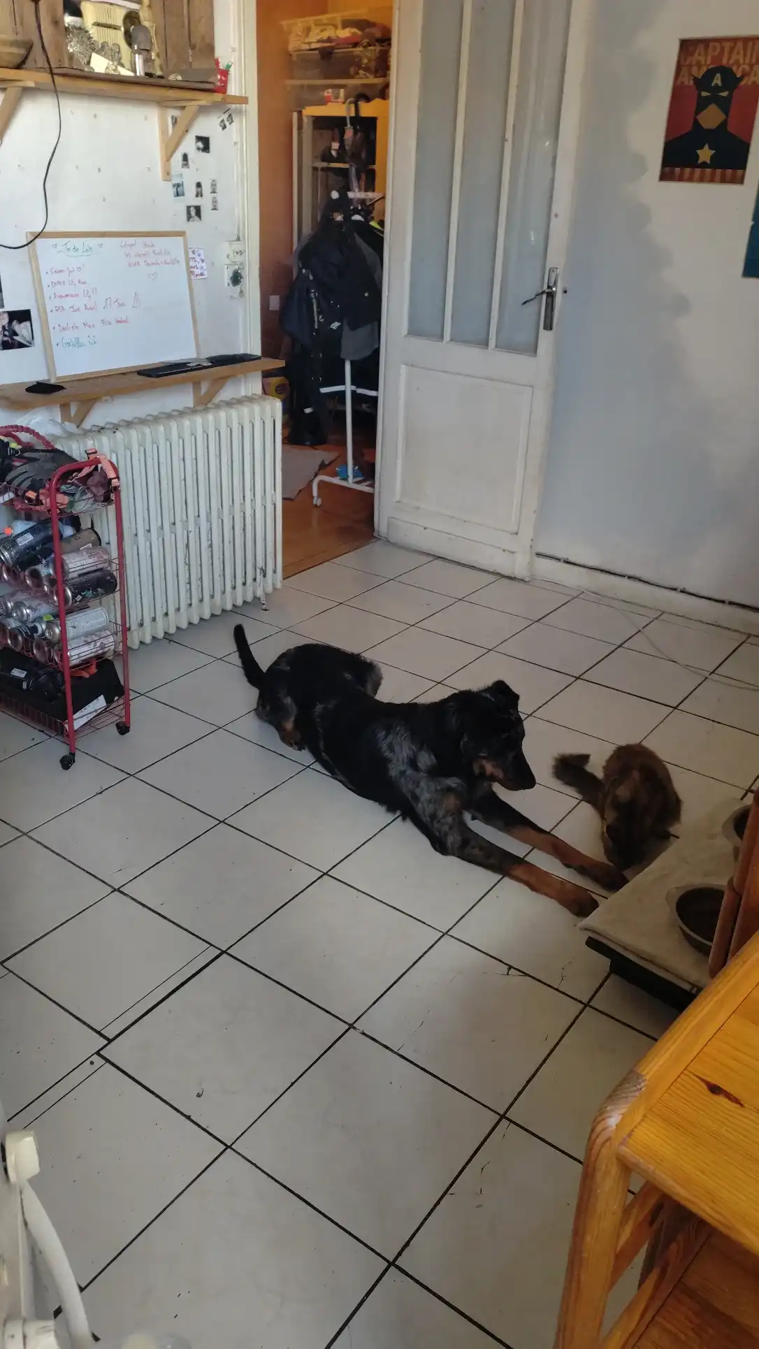 image-16