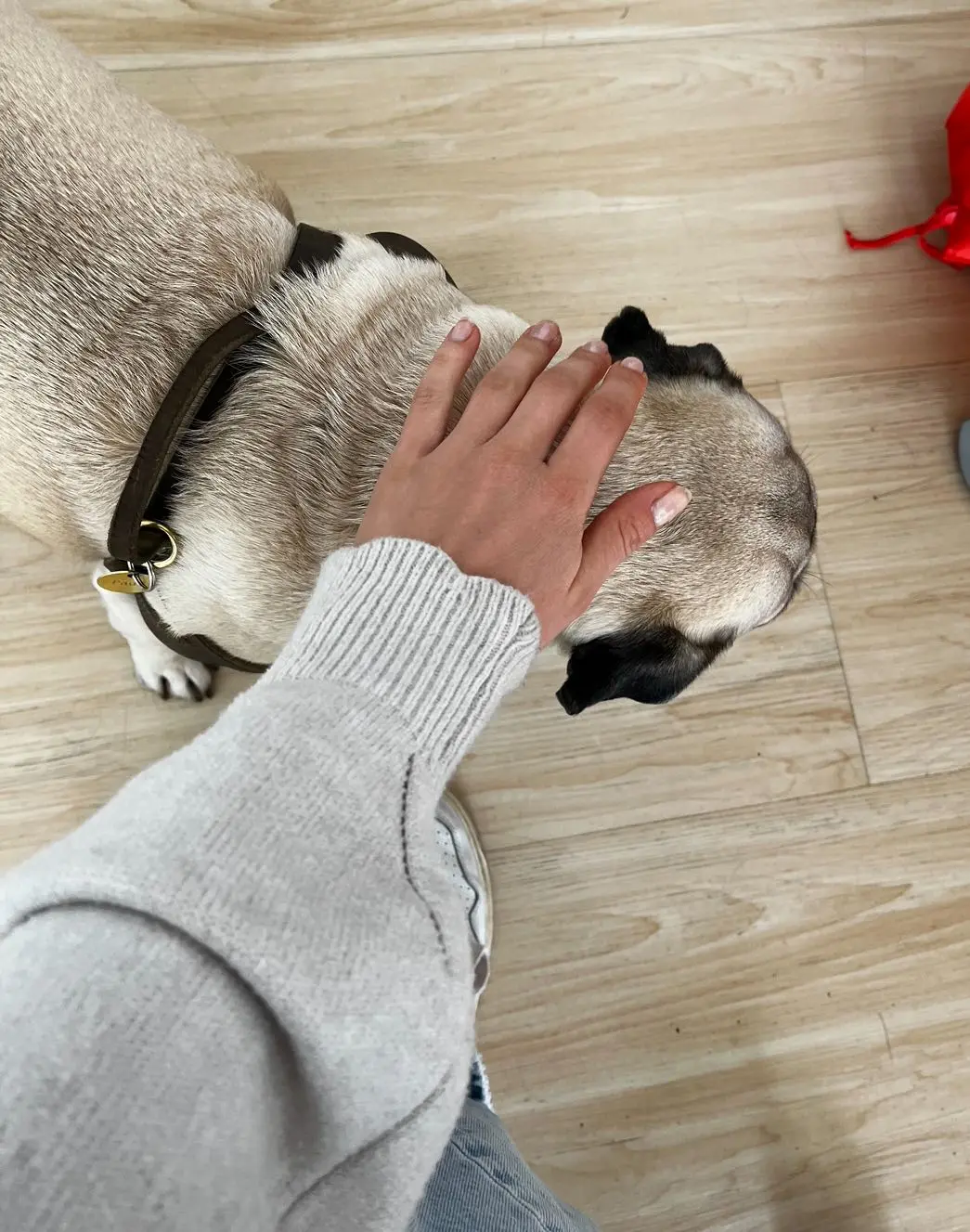 image-4