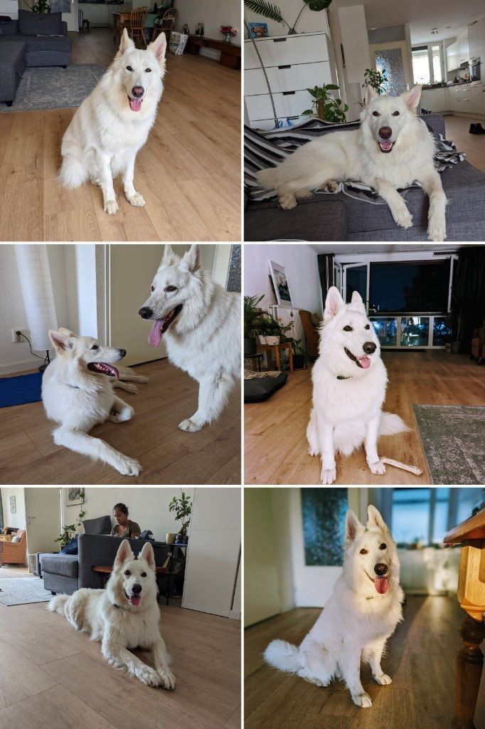 image-34