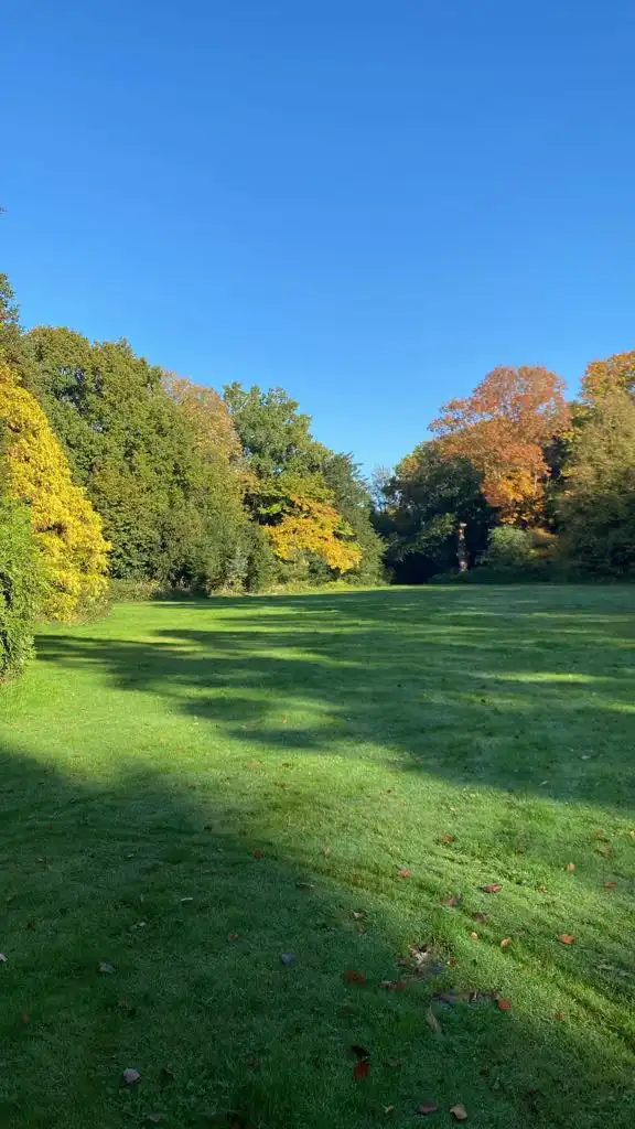 image-14