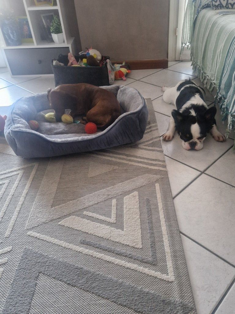 image-28