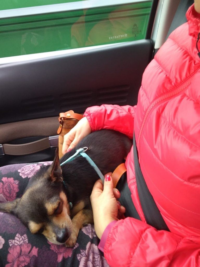 image-5