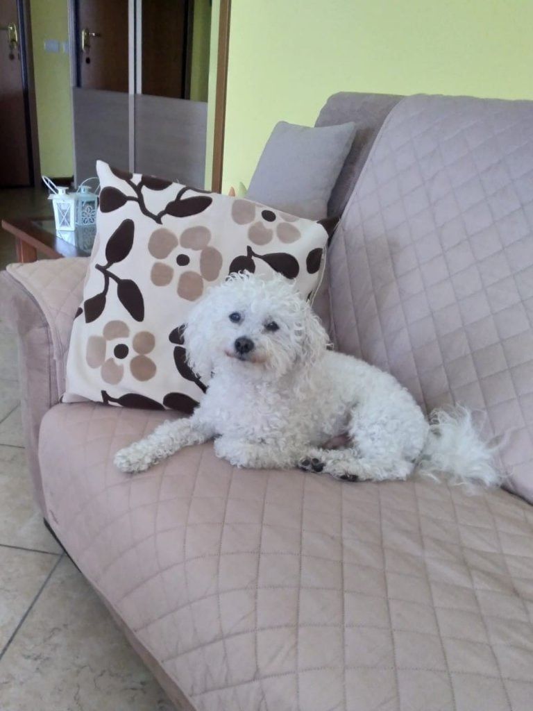 image-32