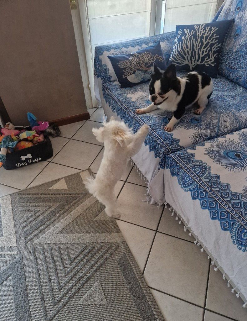 image-37