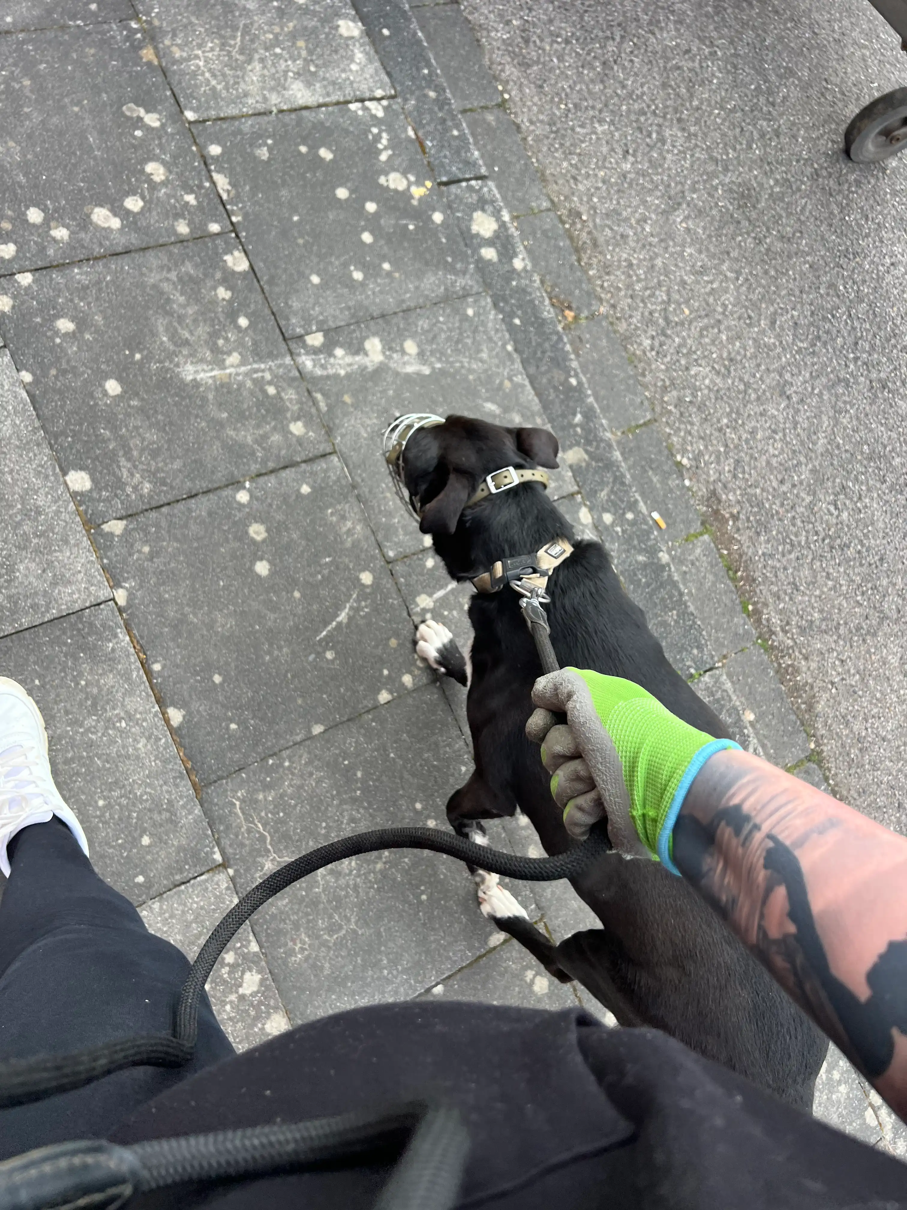 image-16