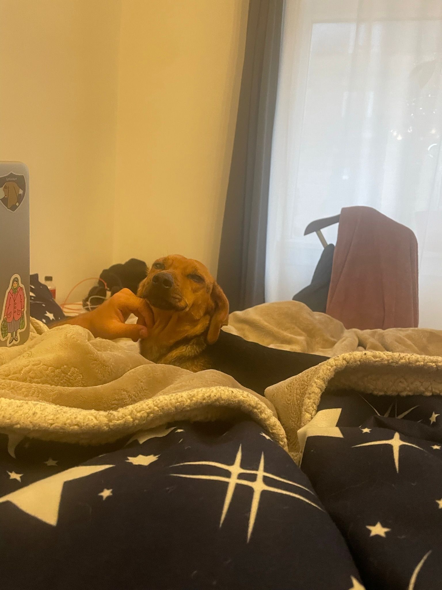 image-6
