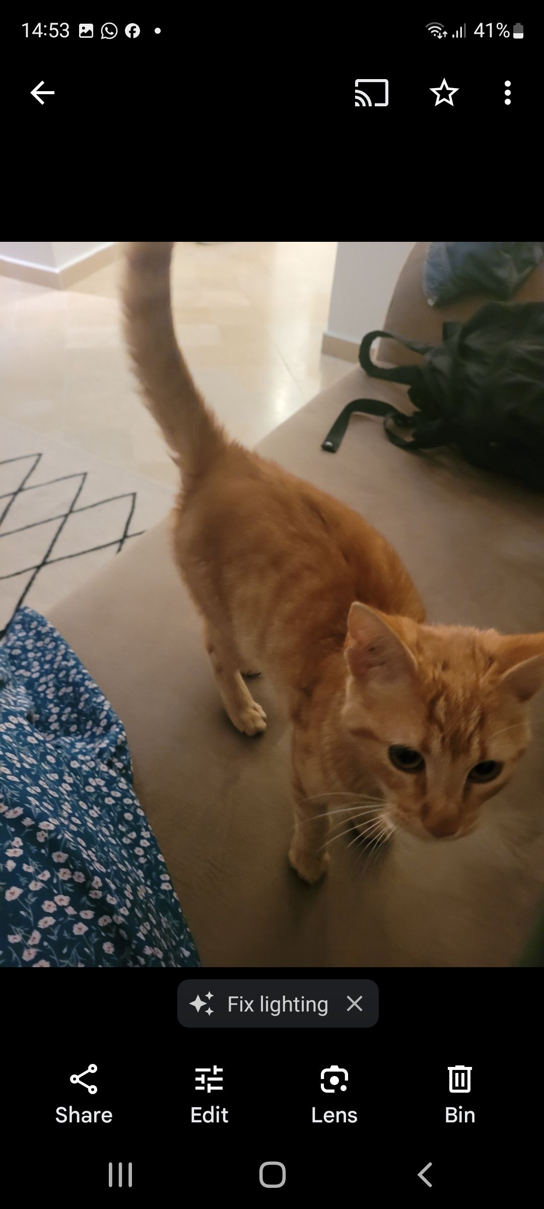 image-8