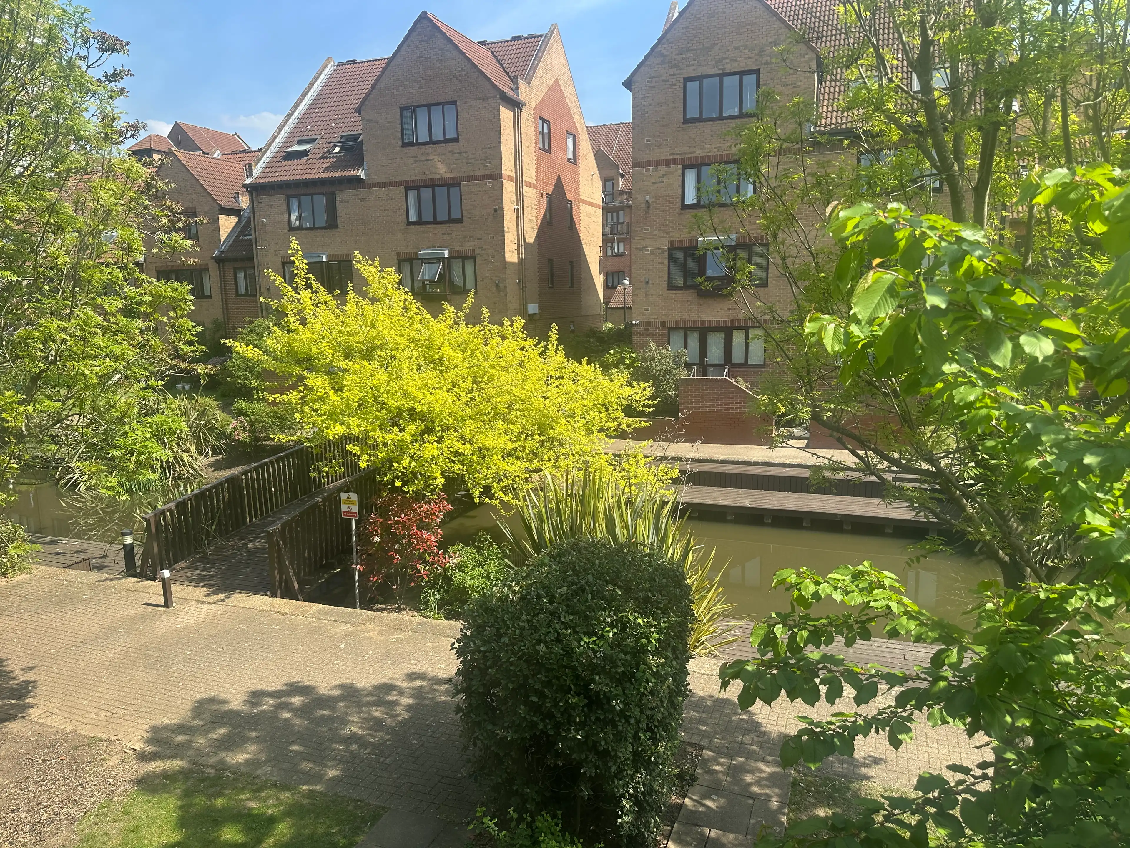 image-17
