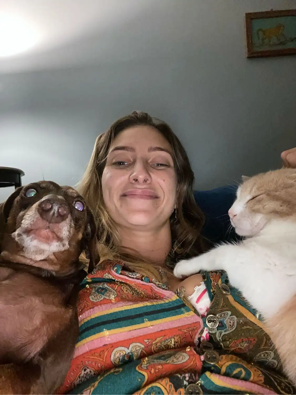 image-6