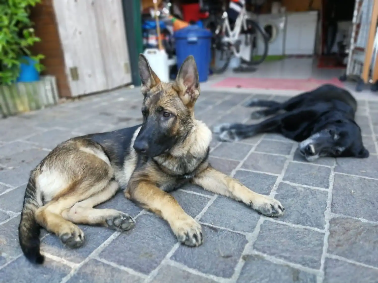 image-6