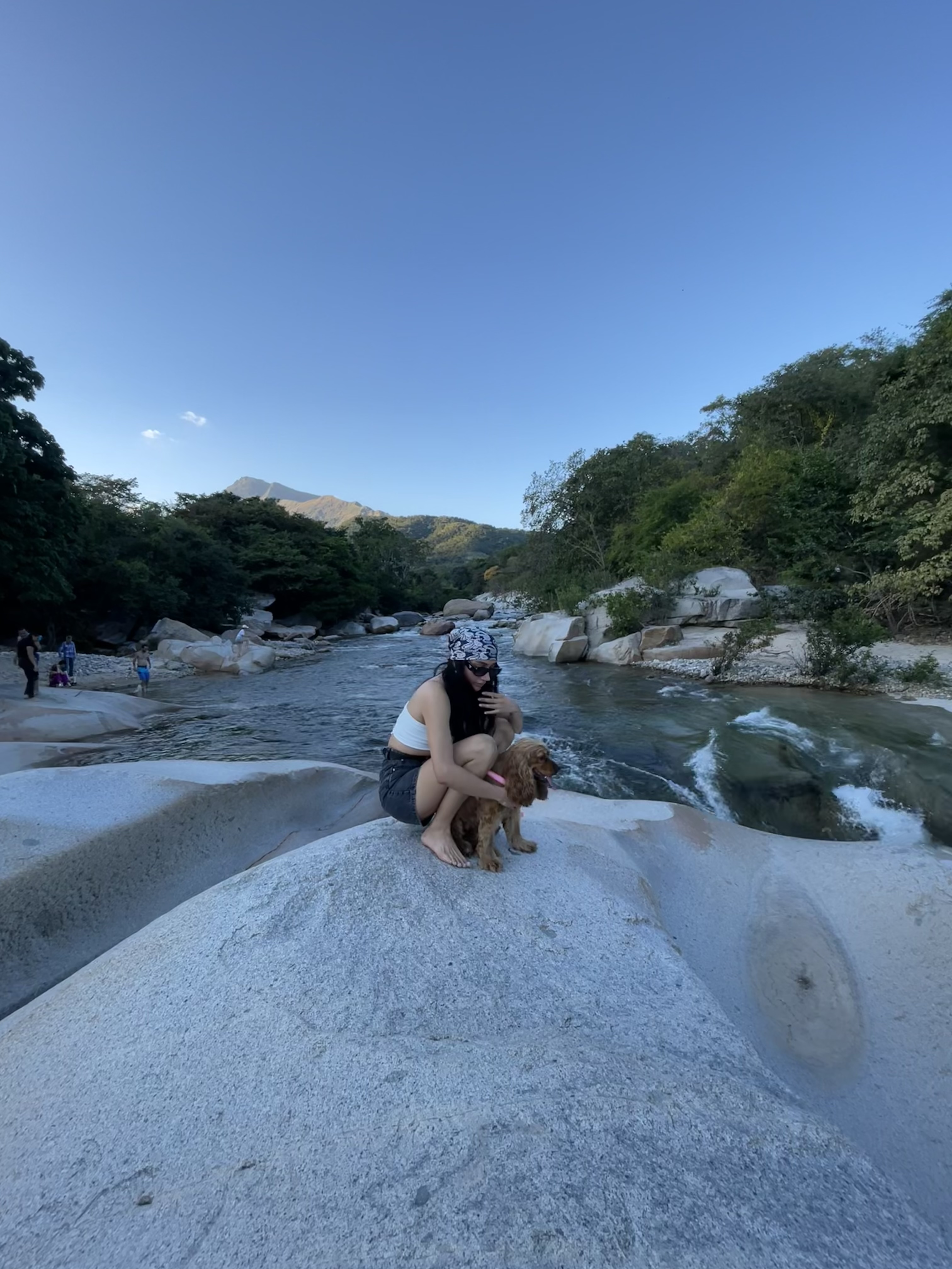 image-7