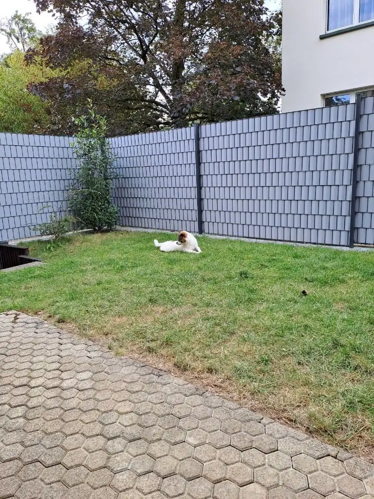 image-18