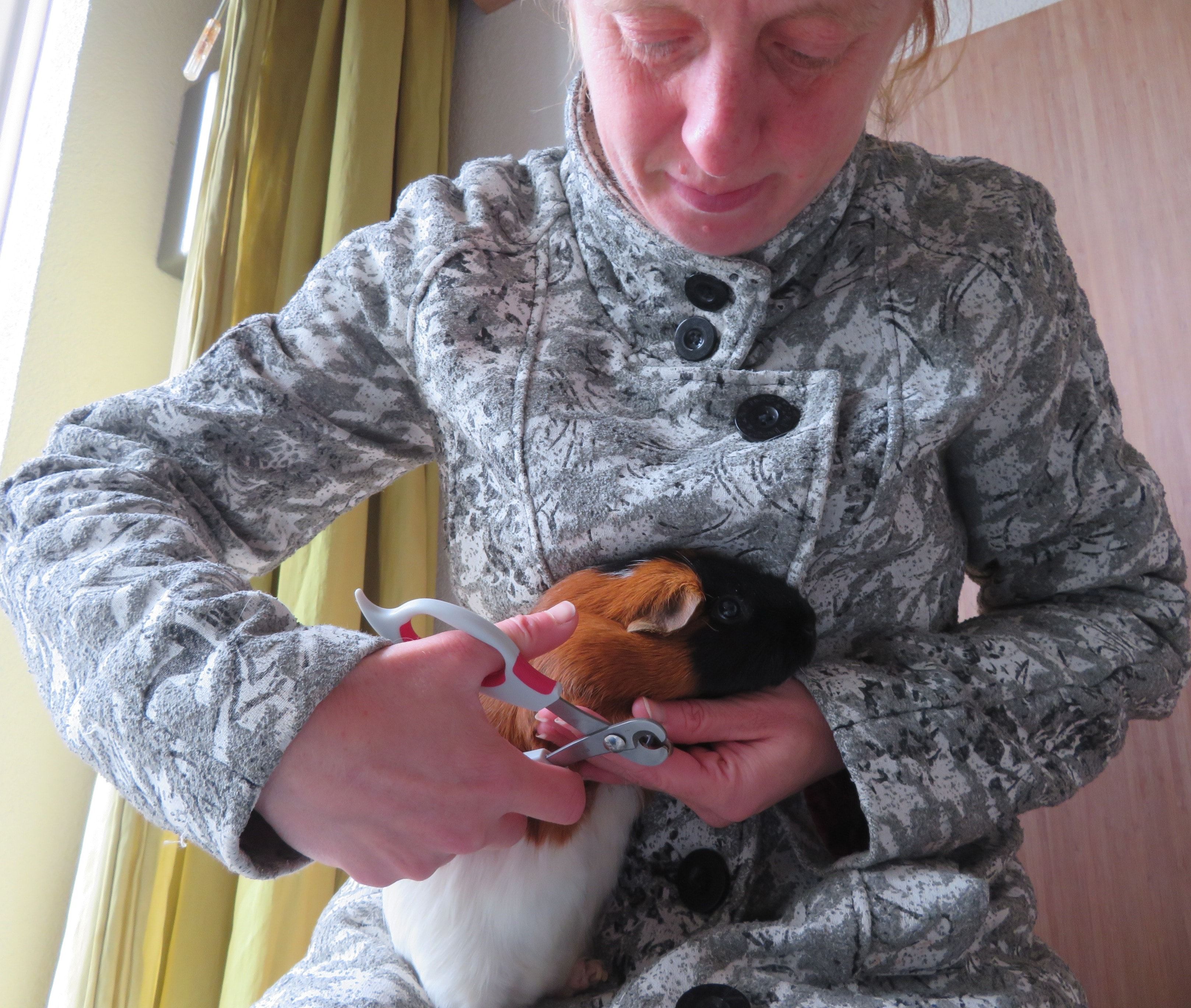 image-9