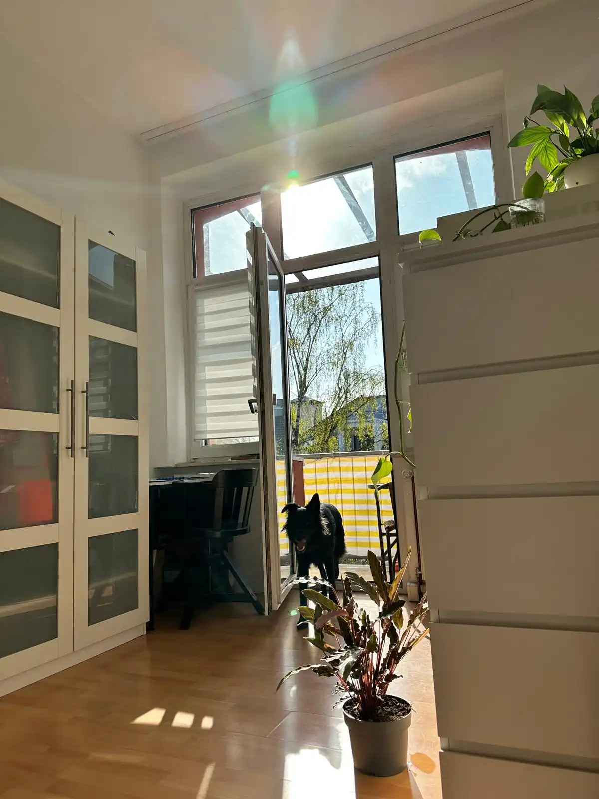 image-10