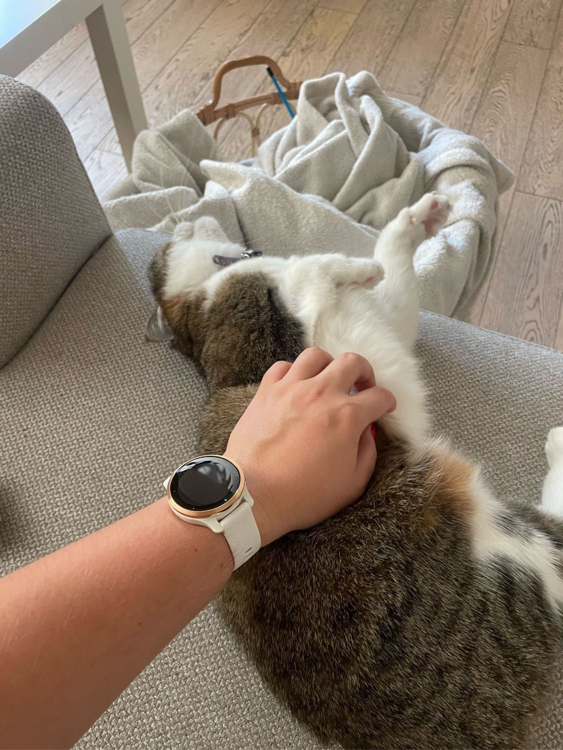 image-7
