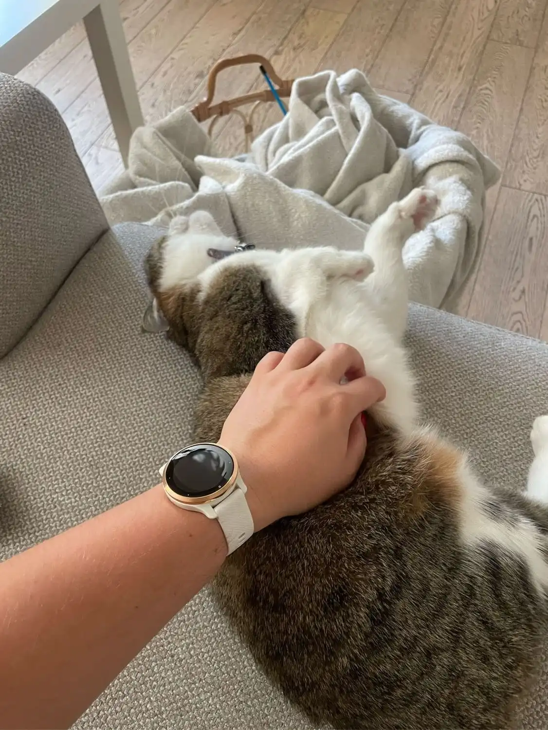 image-7