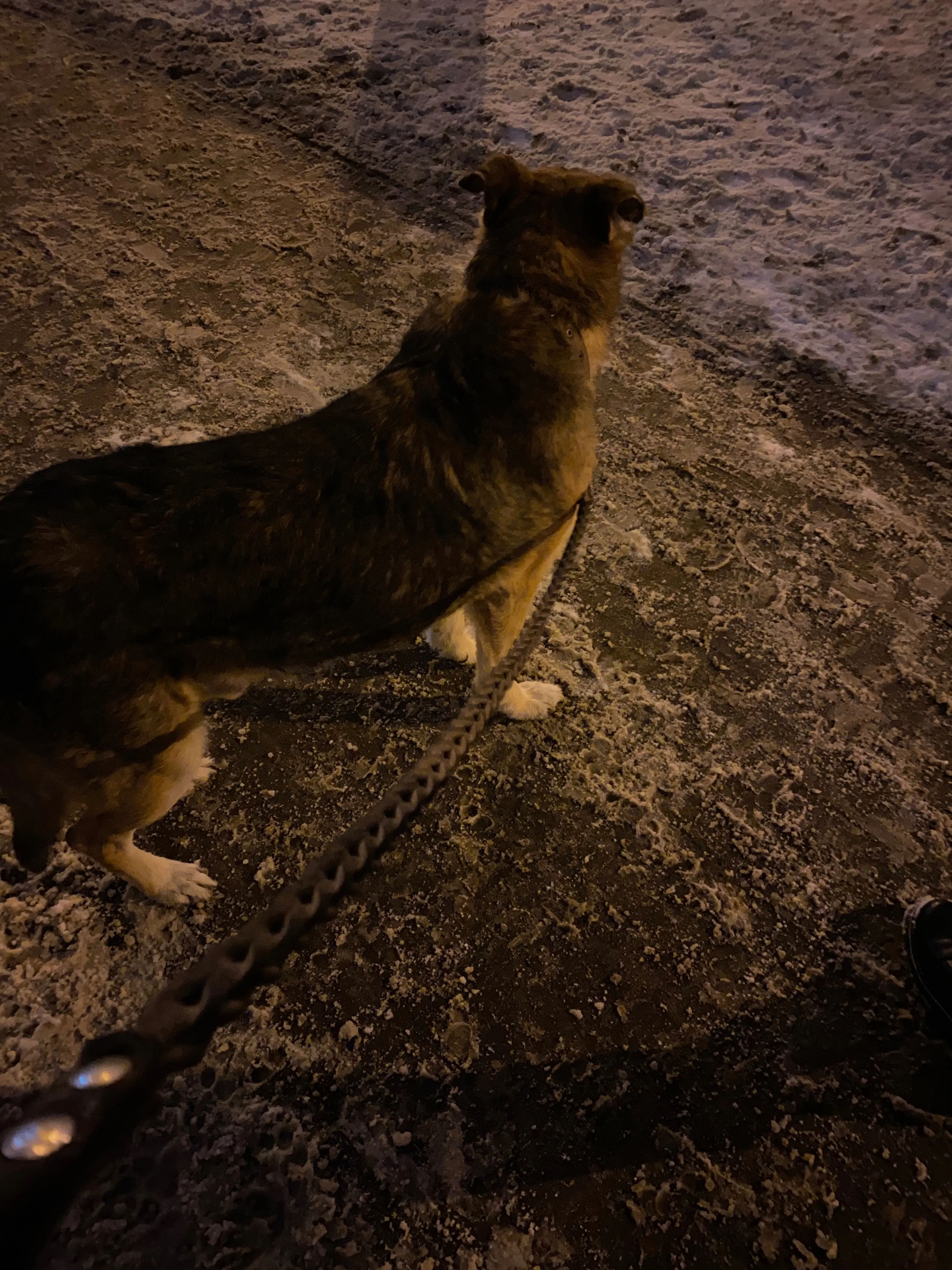 image-3