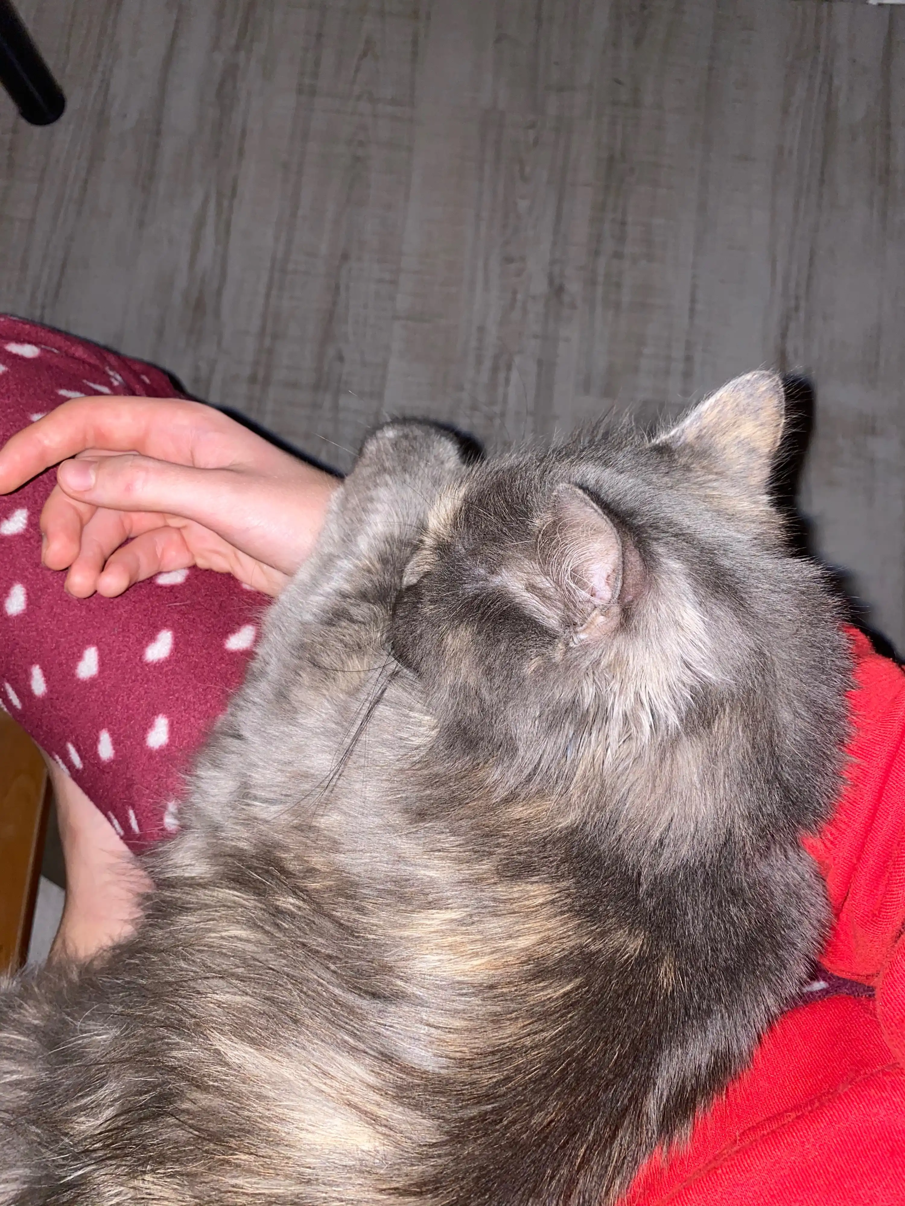 image-8