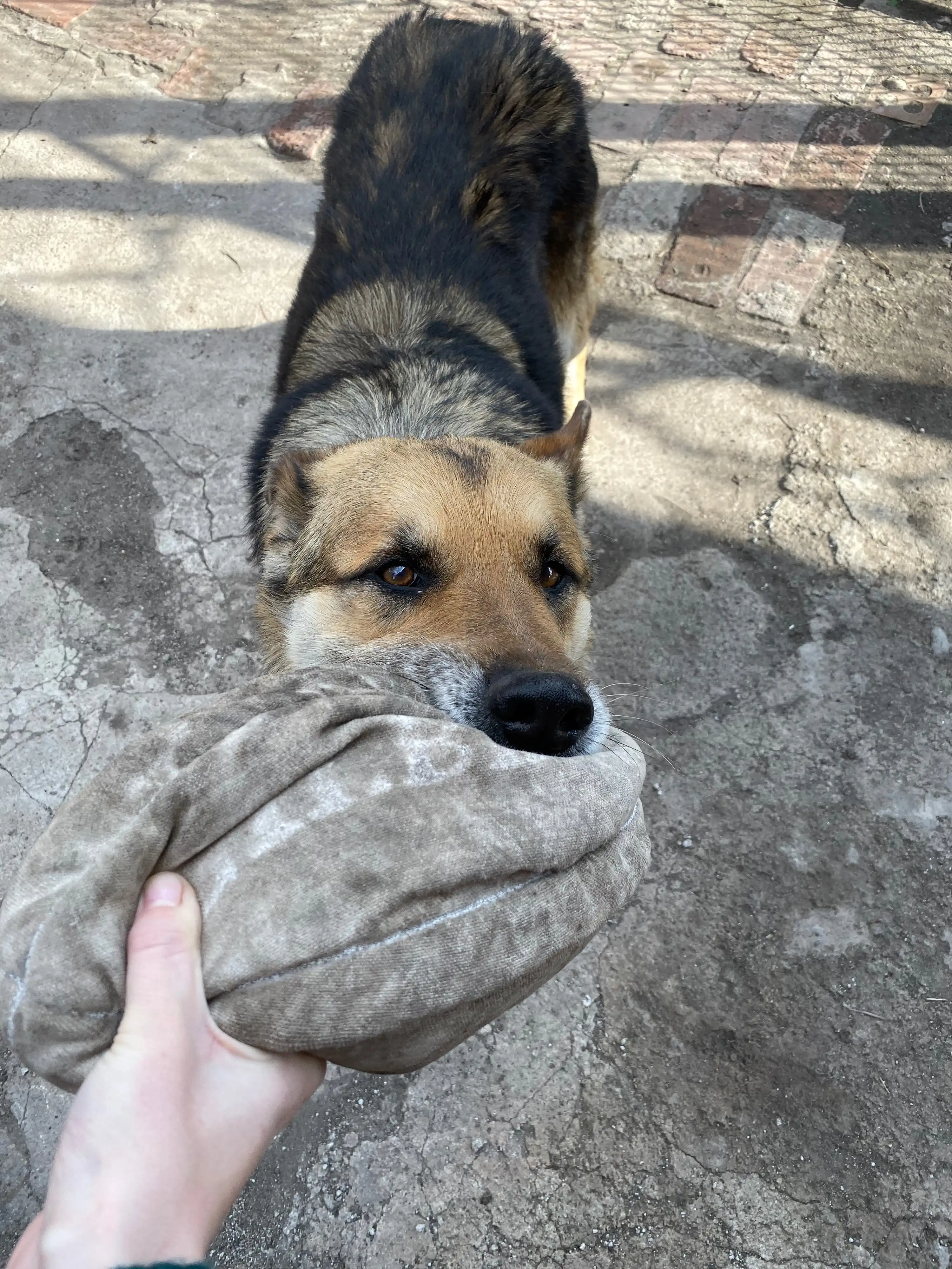 image-9