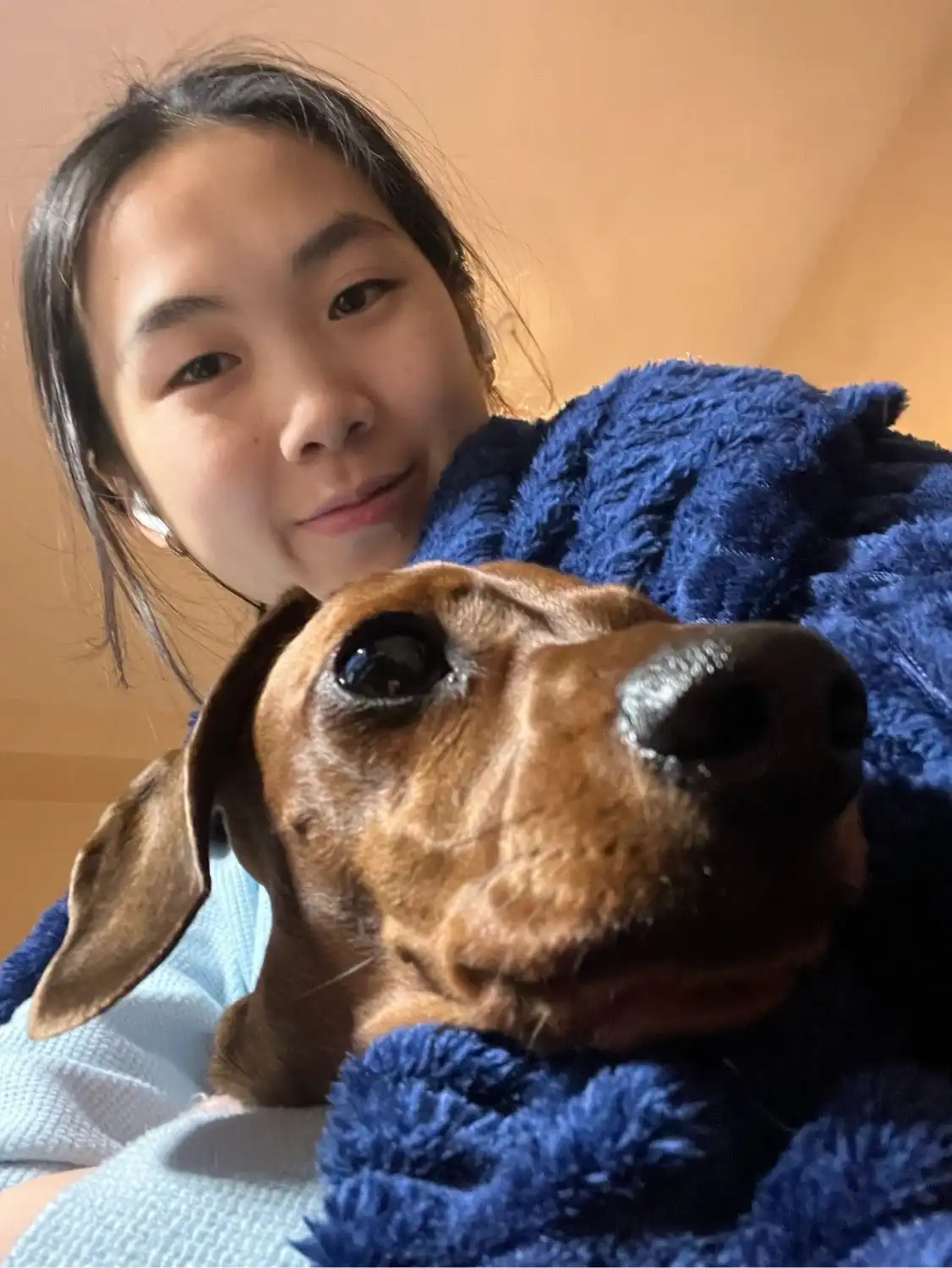 image-6