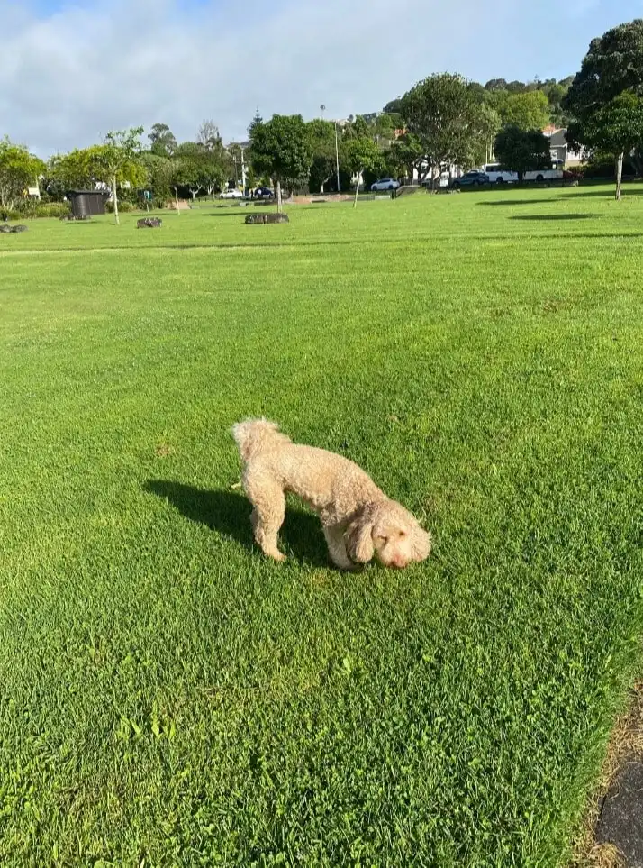 image-13