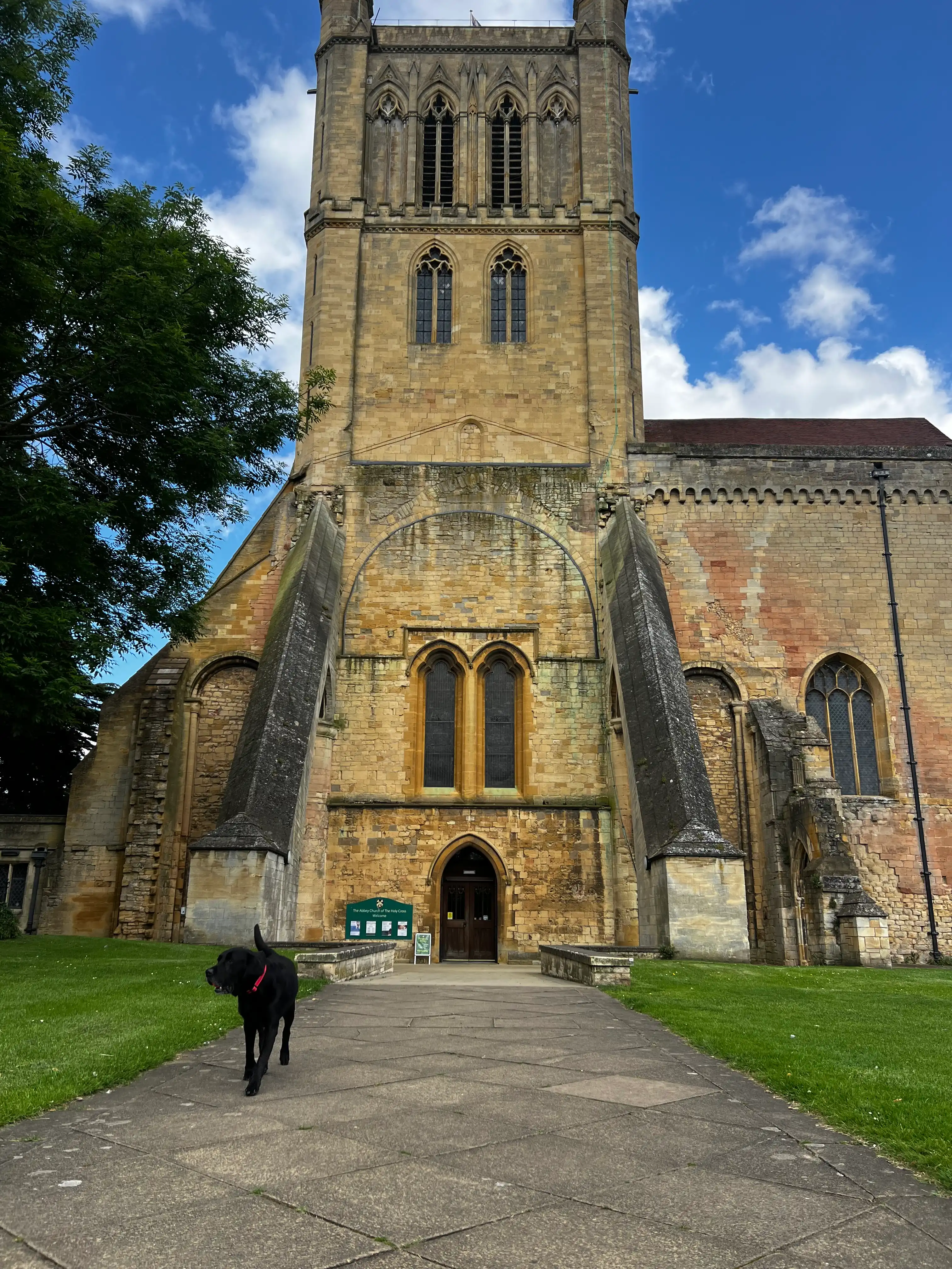 image-7