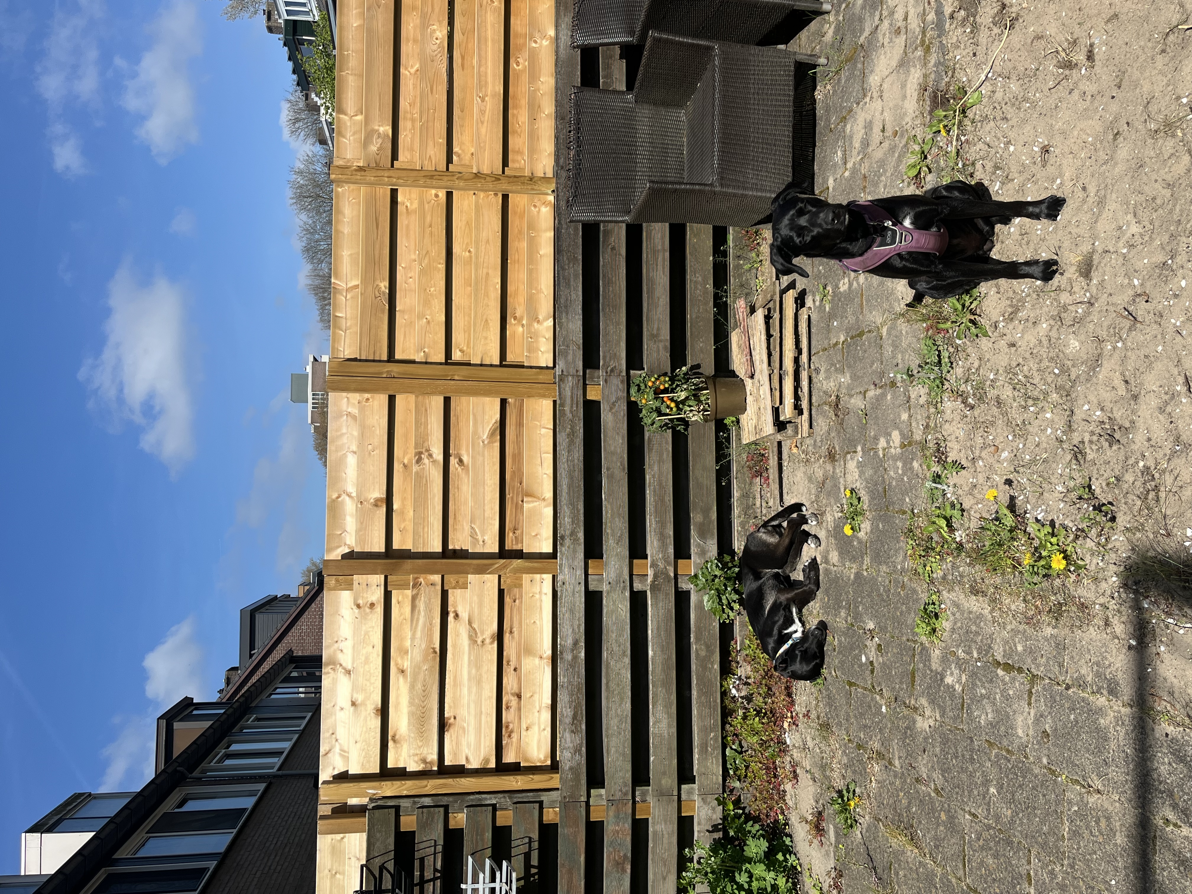image-34