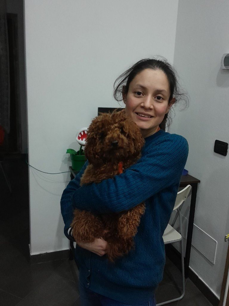 image-29