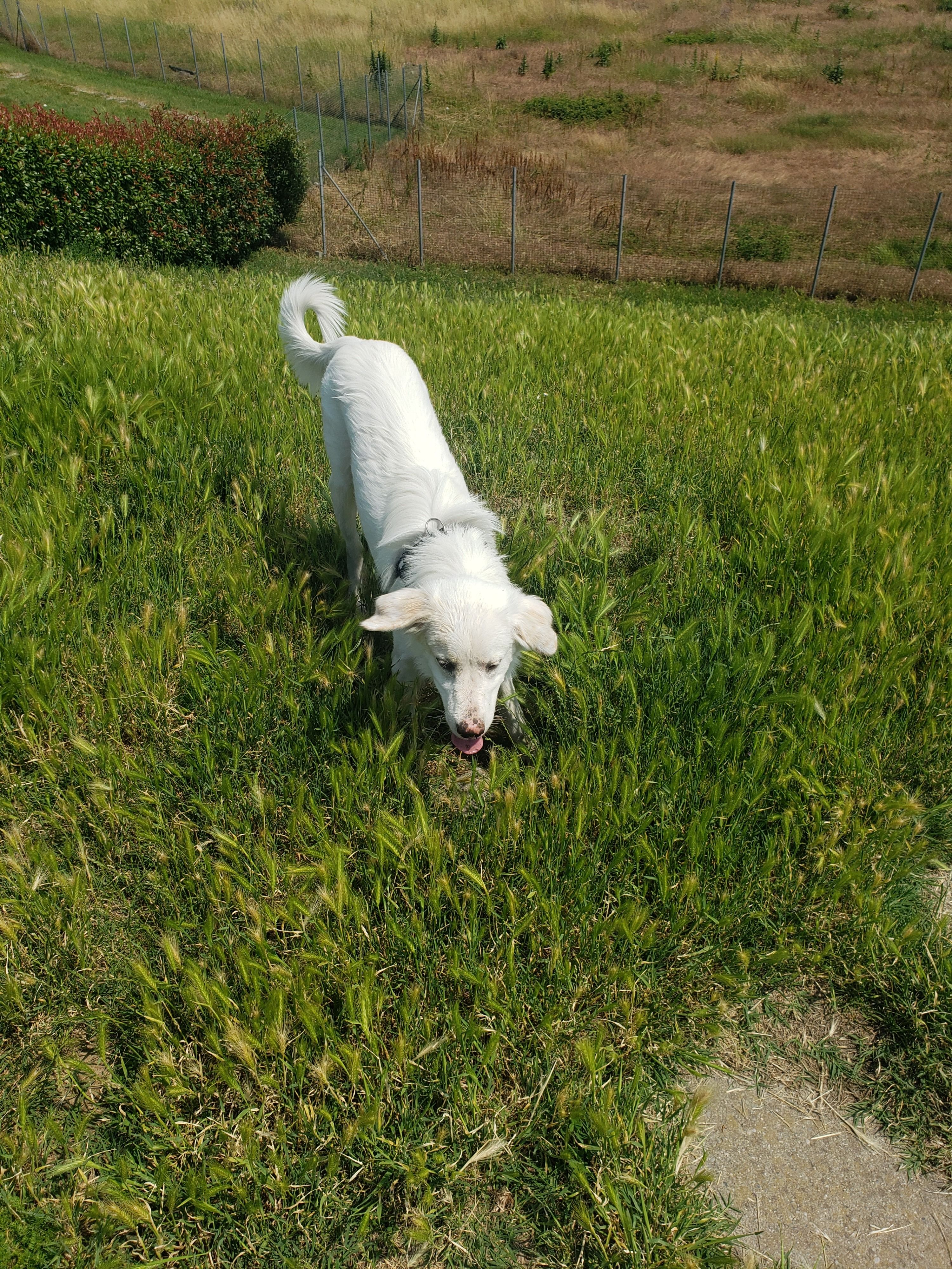 image-7