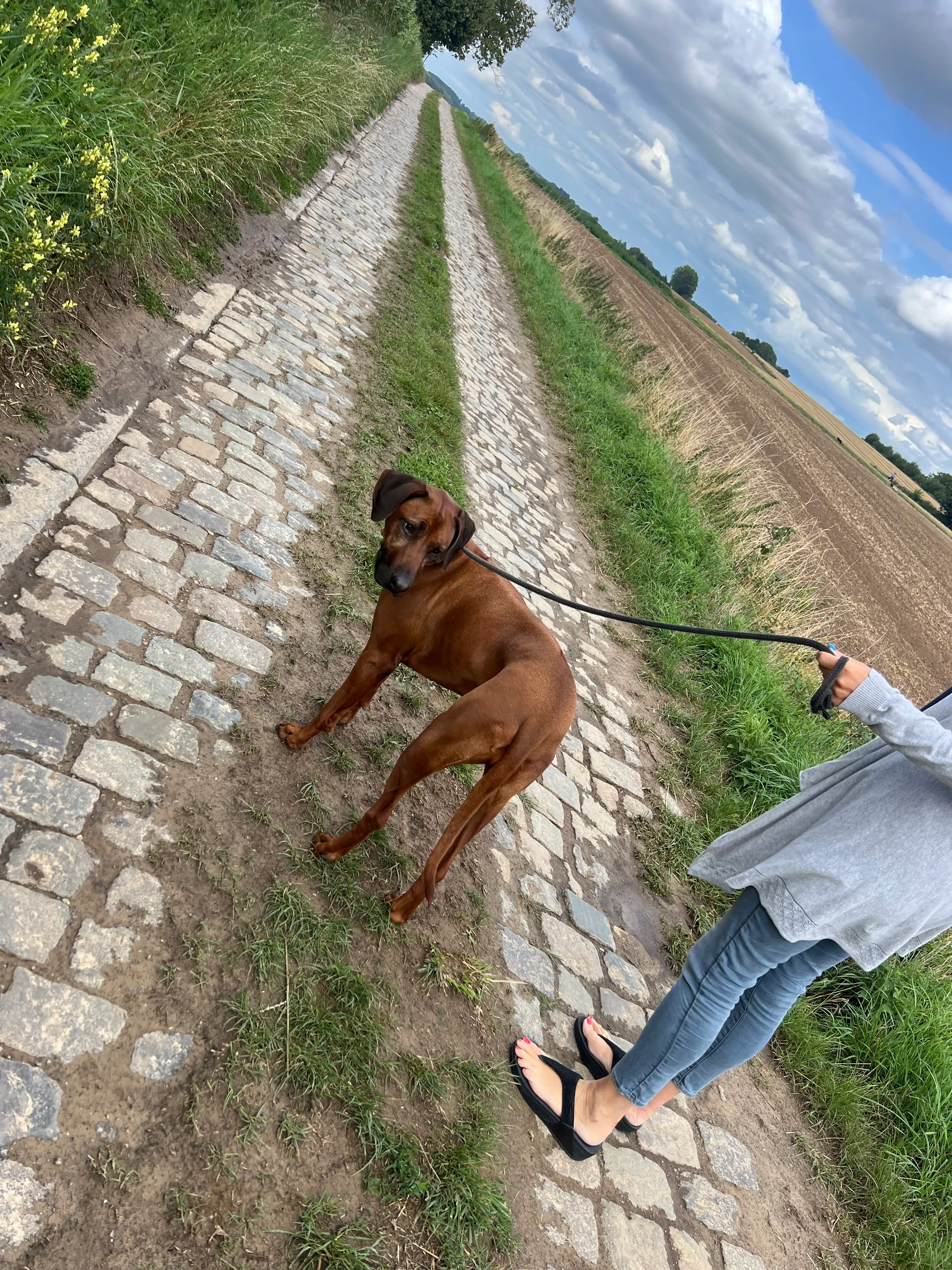 image-28