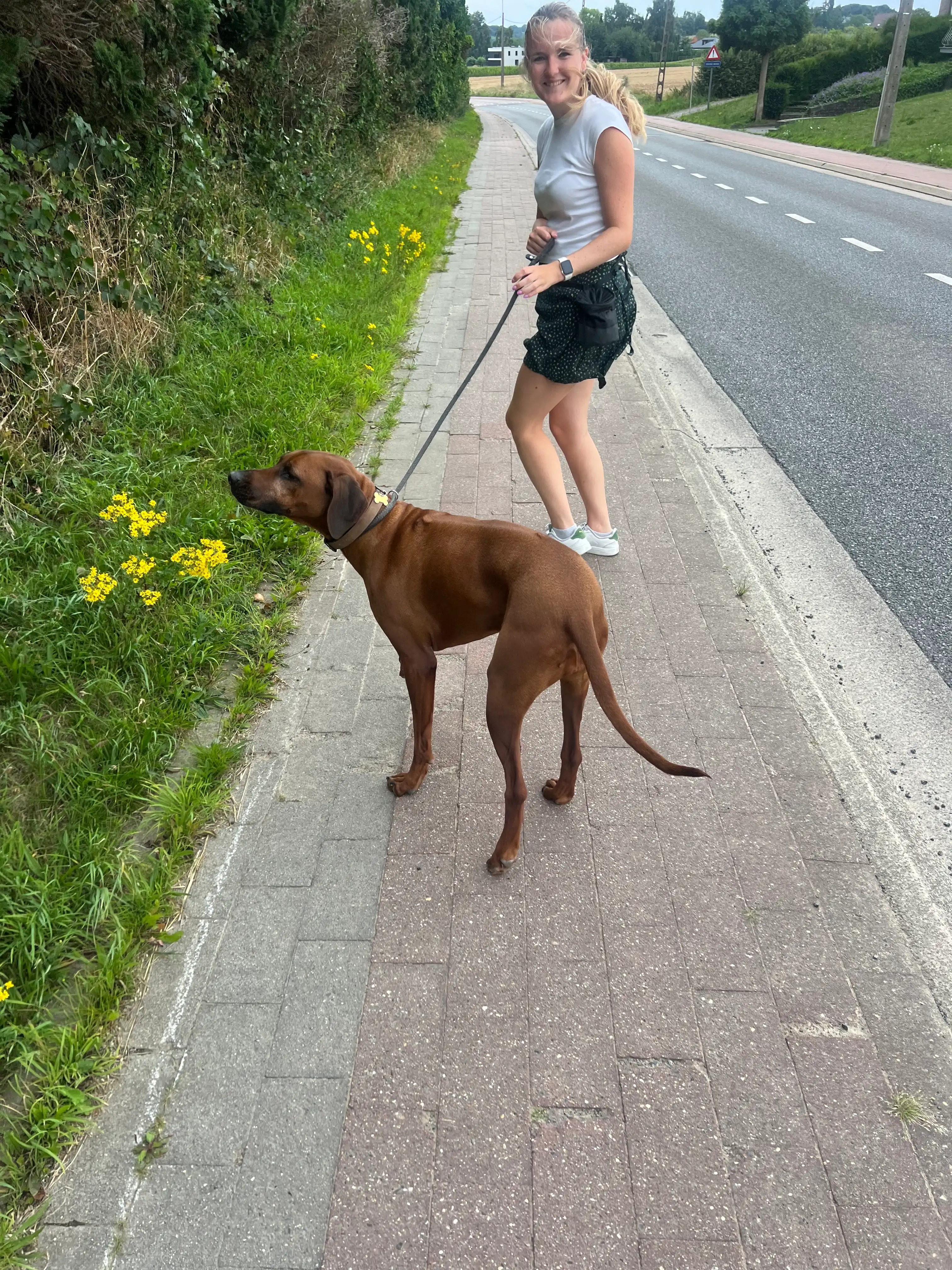 image-26