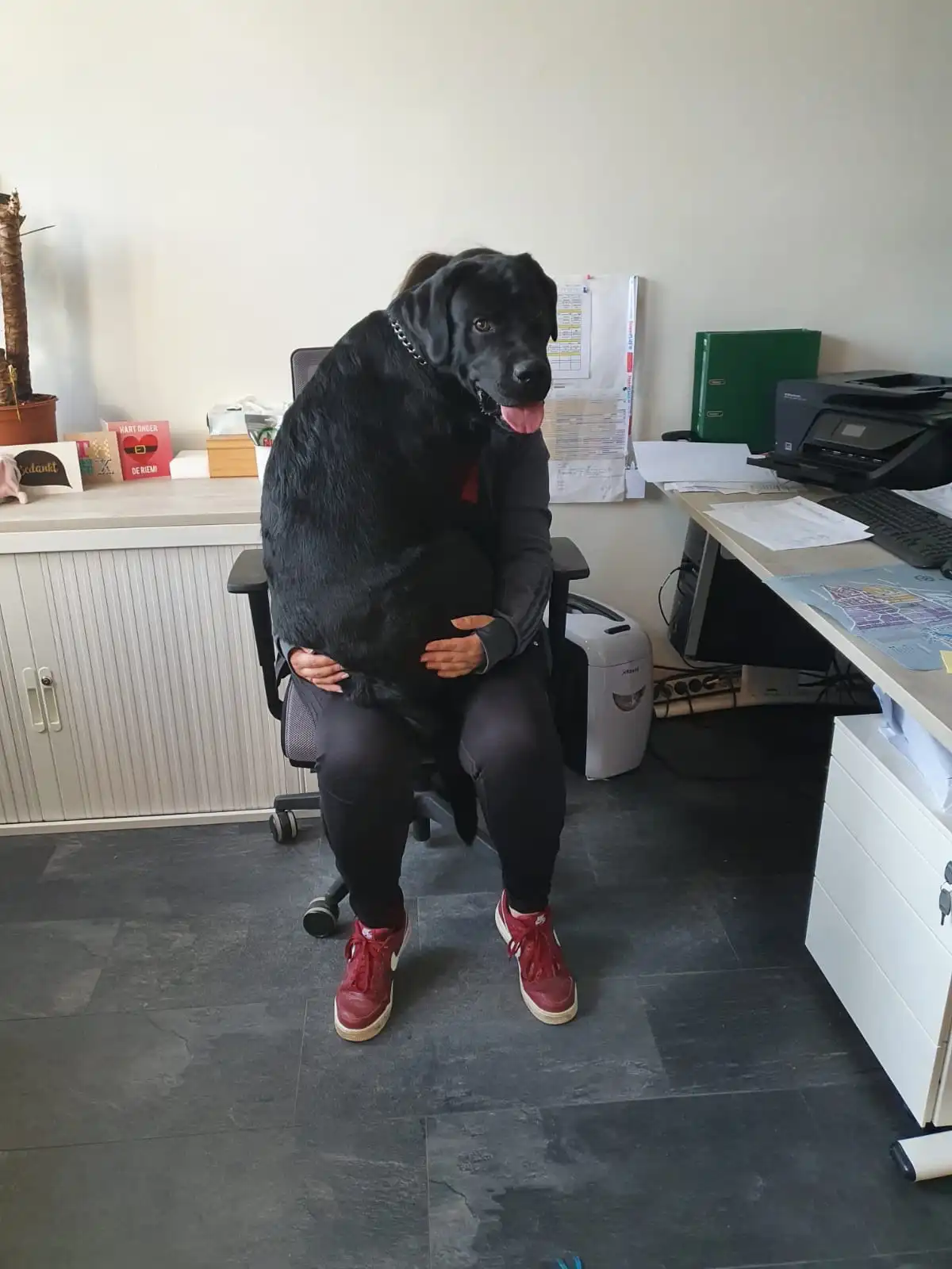 image-7