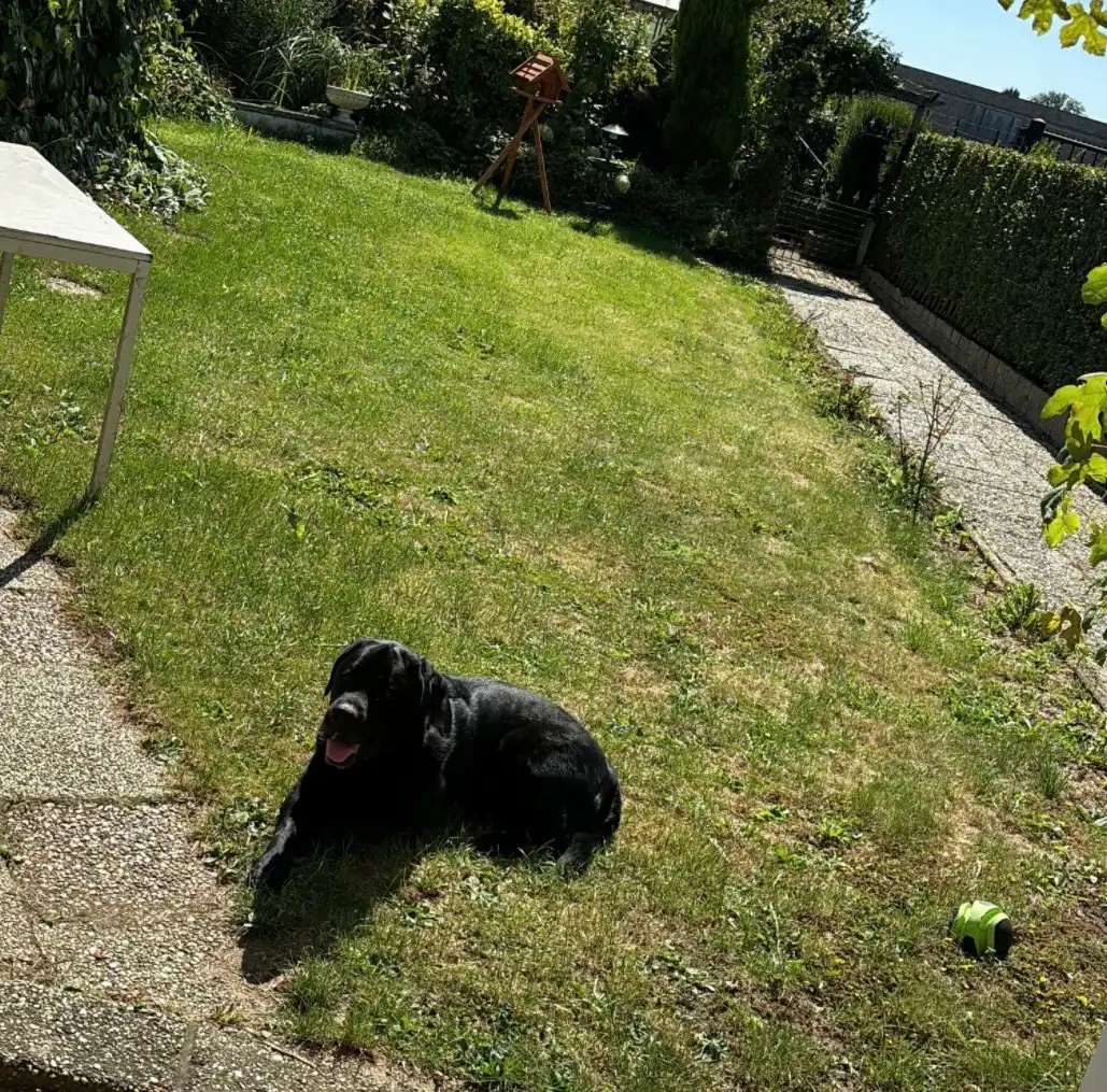 image-14