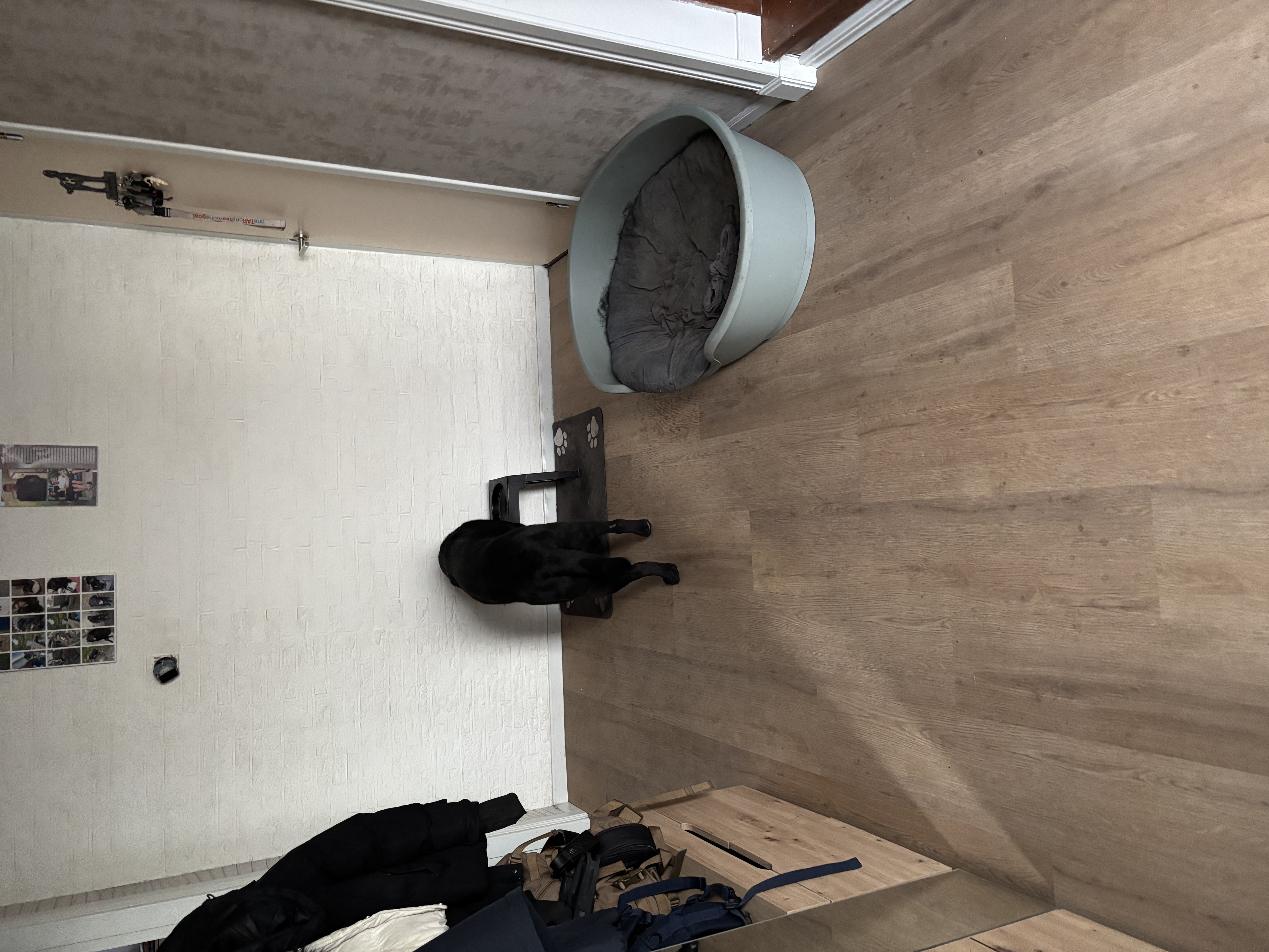 image-19