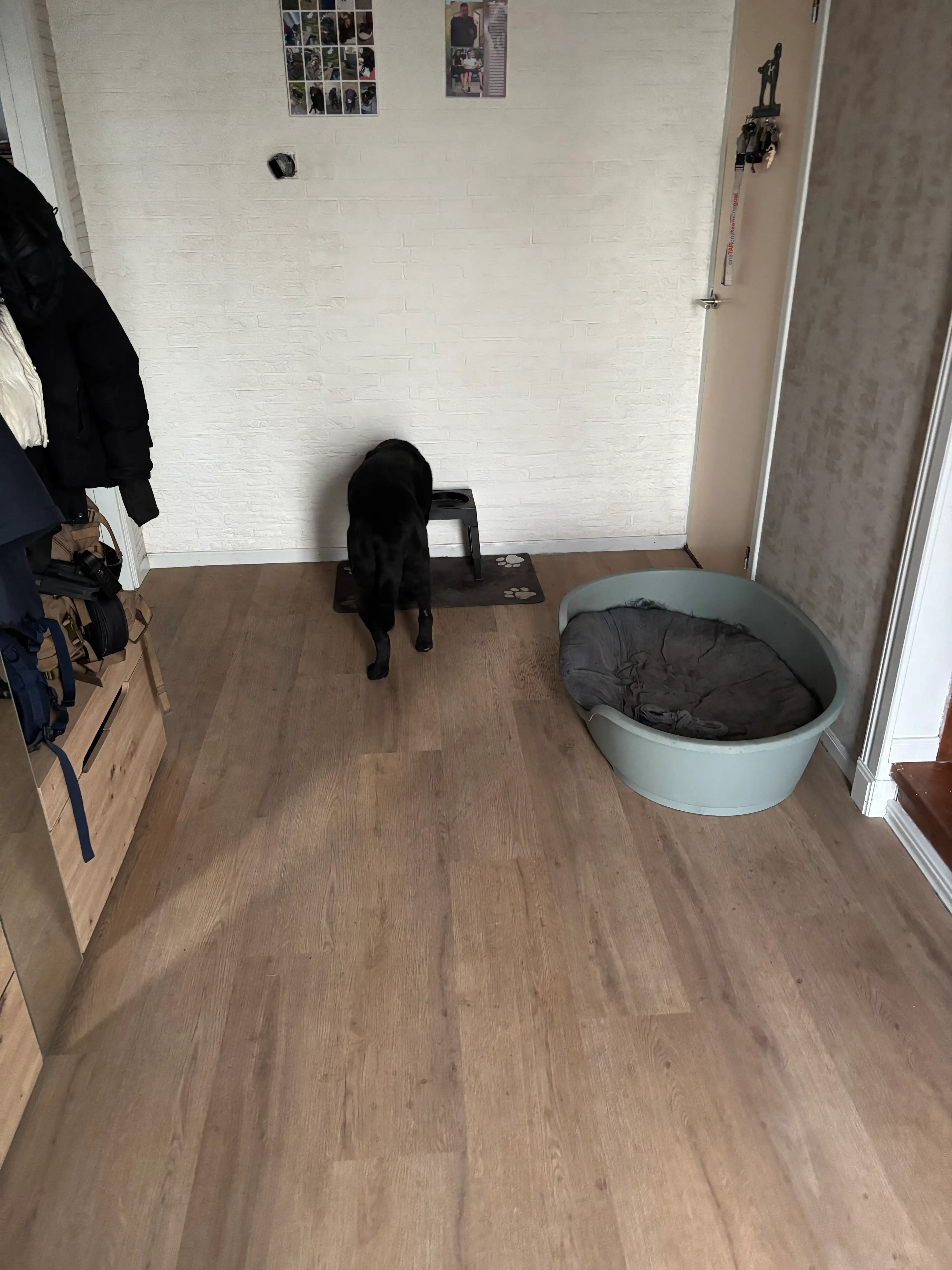 image-19