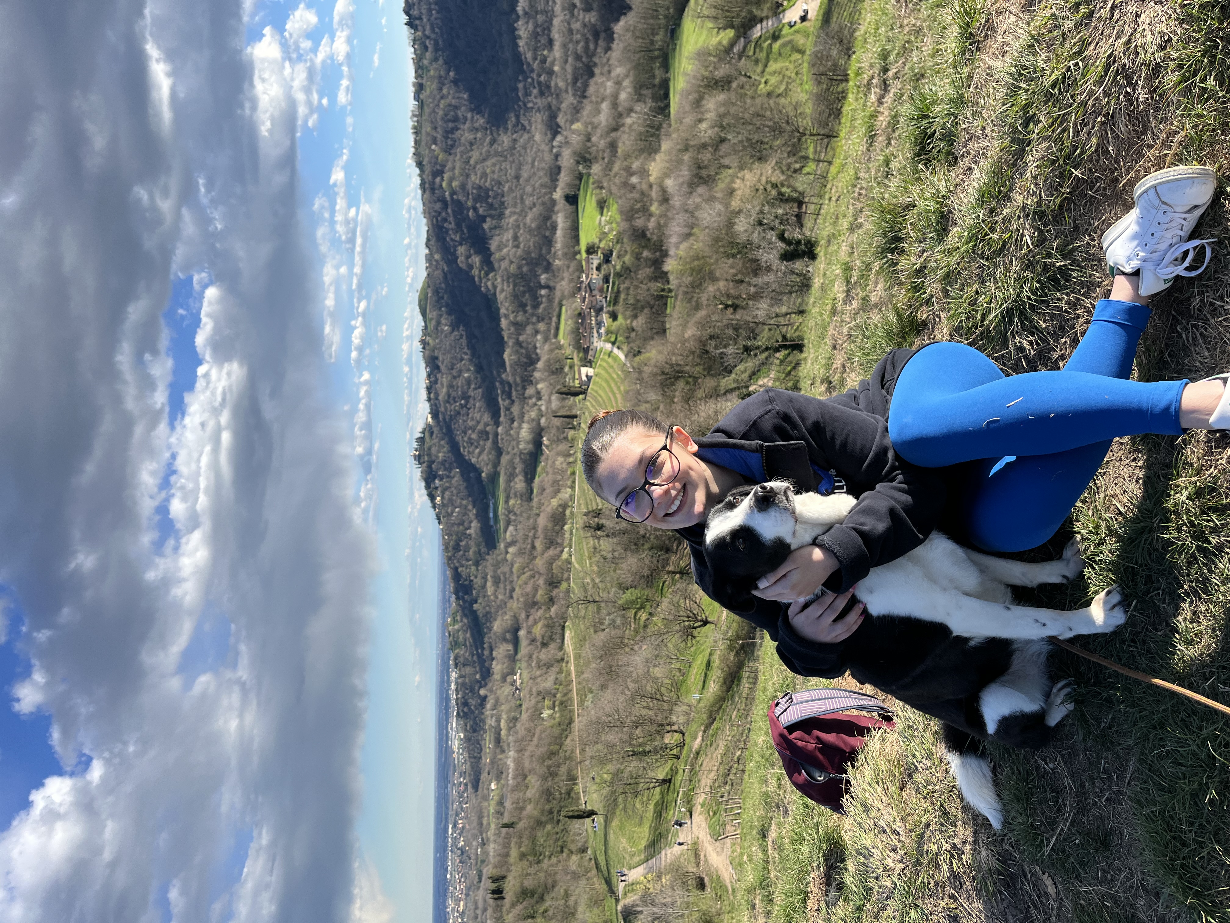 image-6