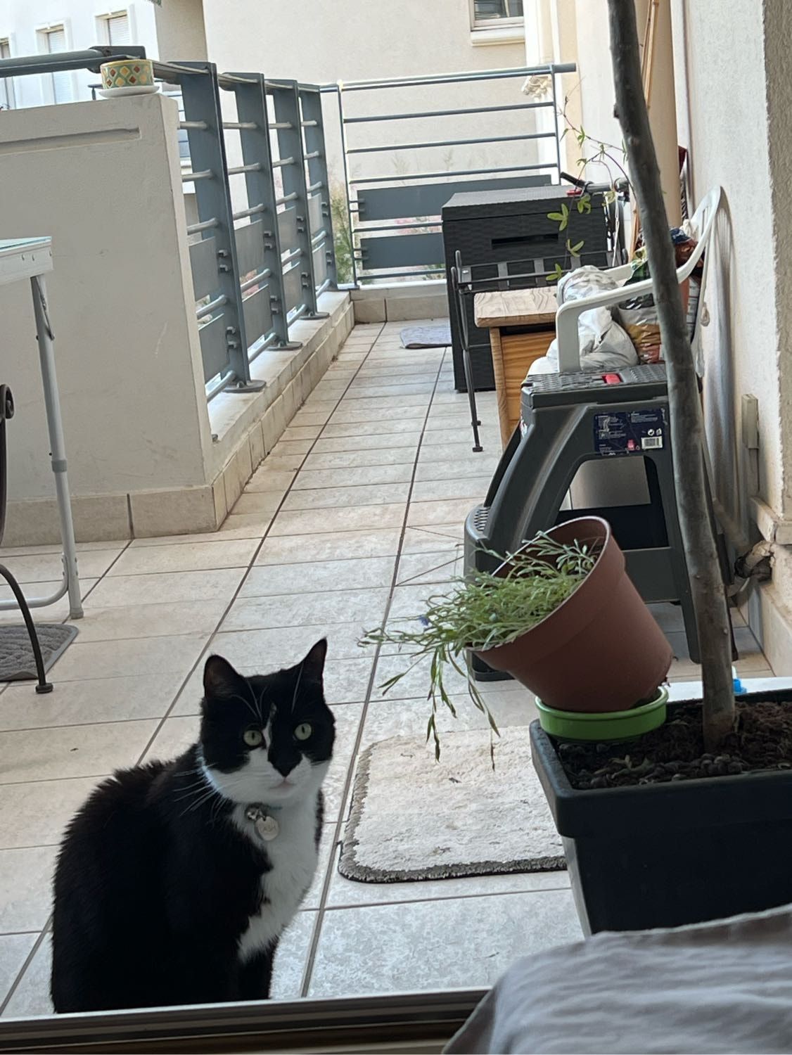 image-13