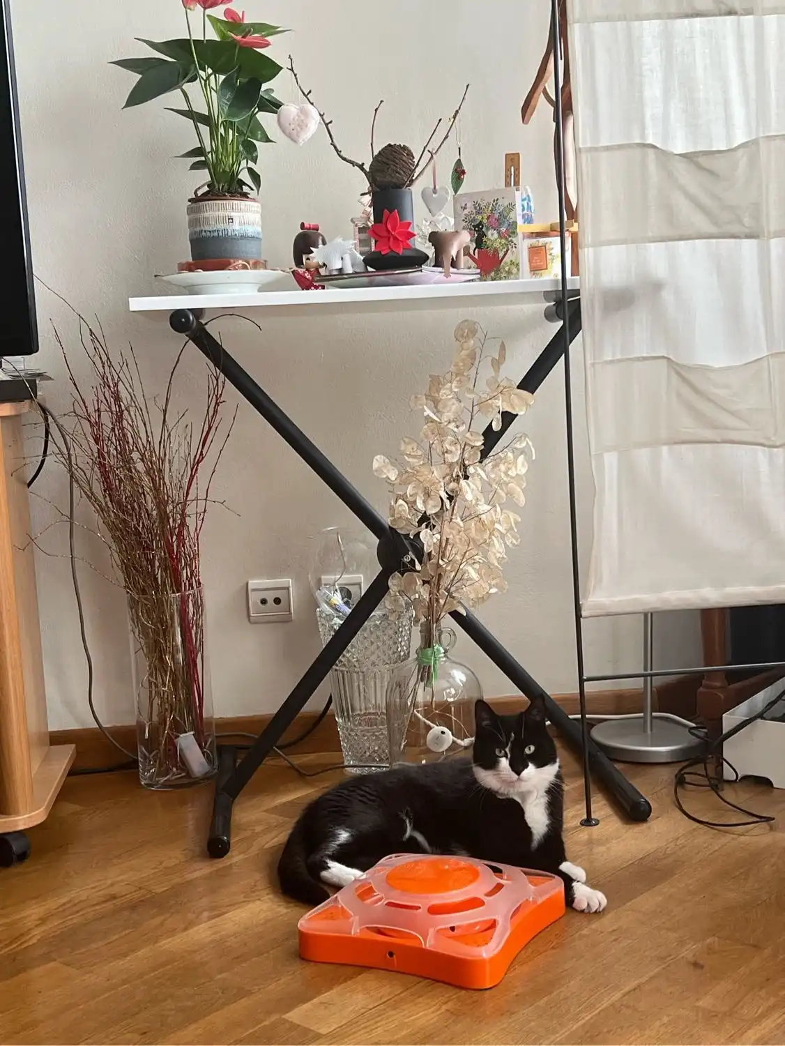 image-12