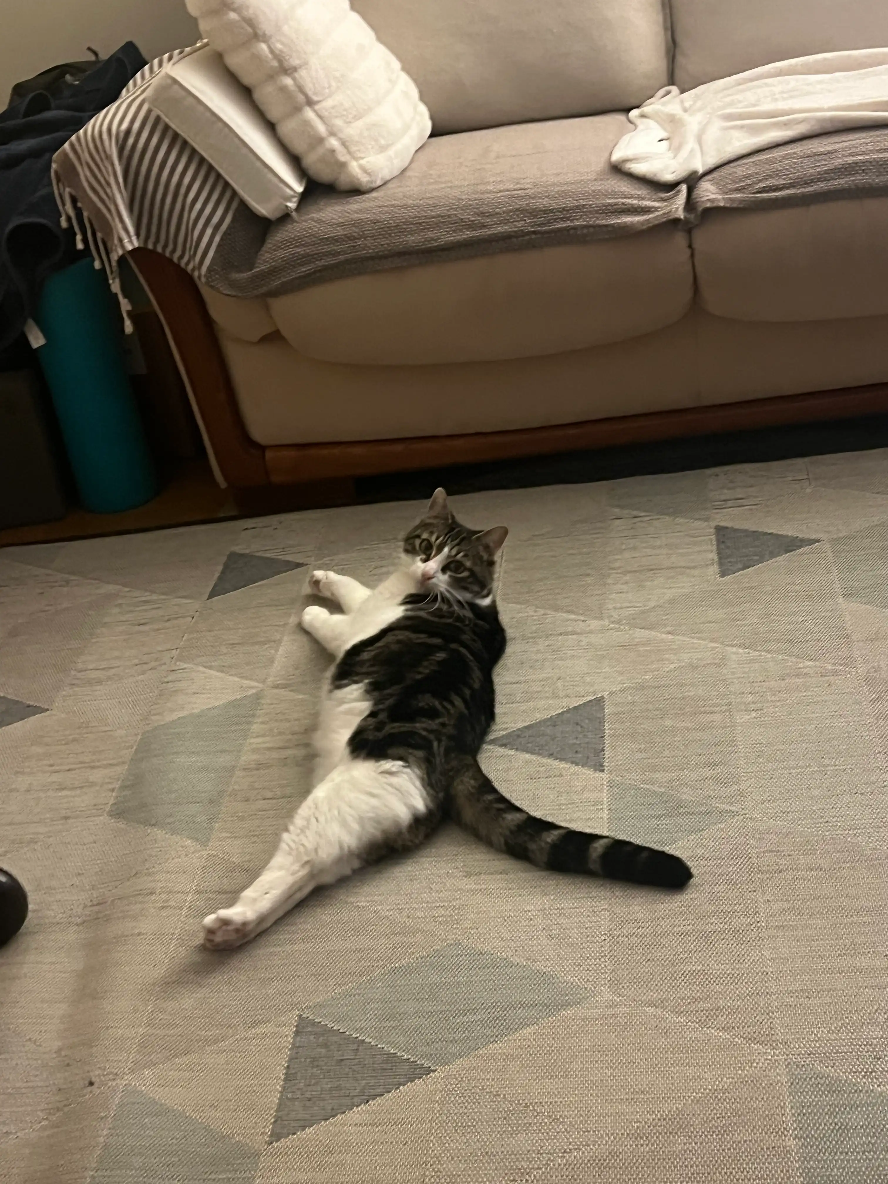 image-28