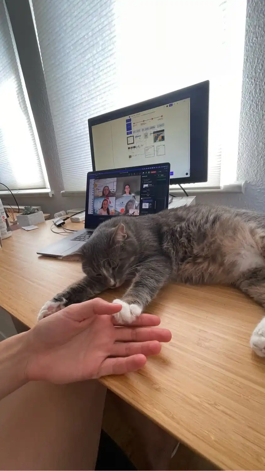 image-6