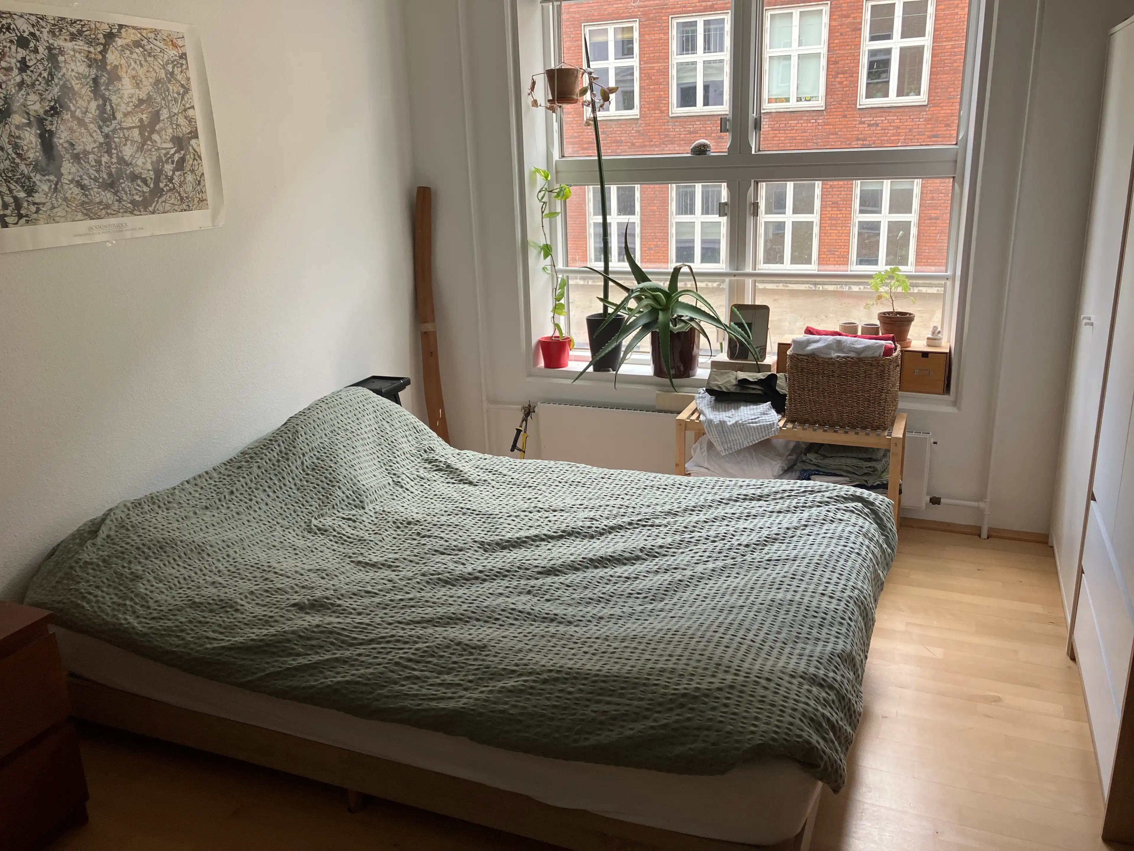 image-16