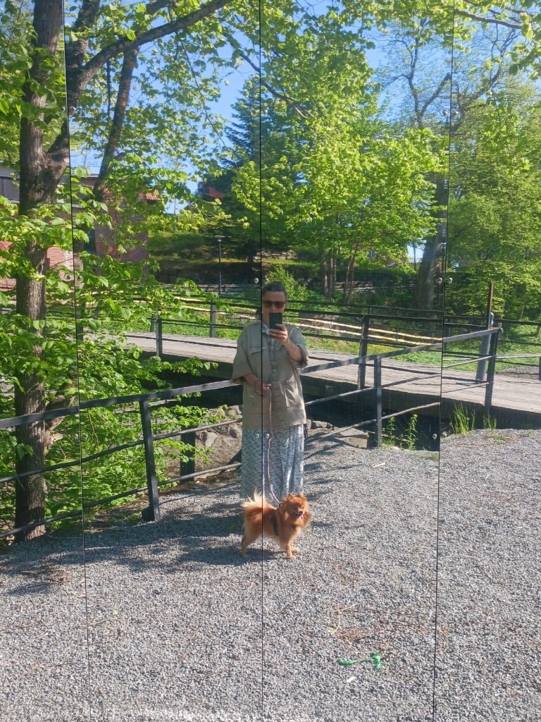 image-2