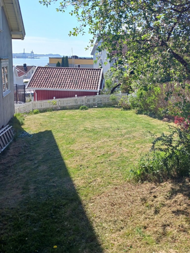 image-18