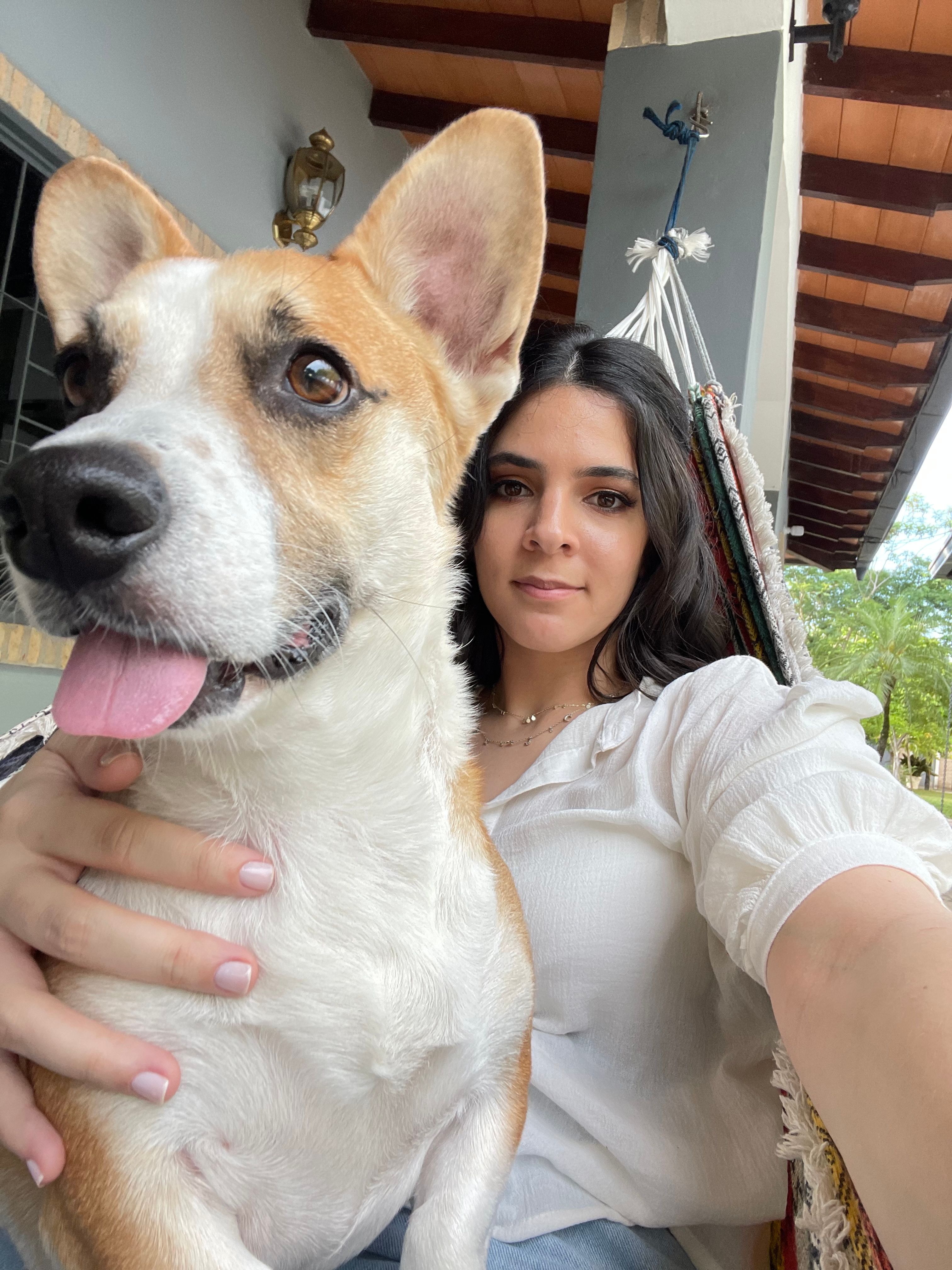 image-8