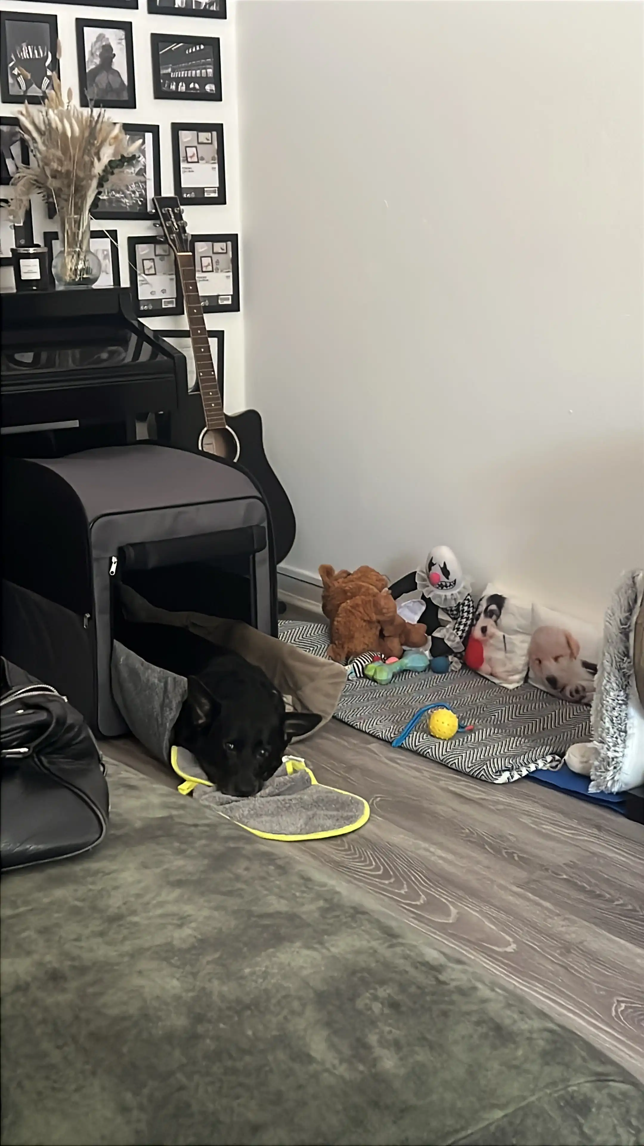 image-17
