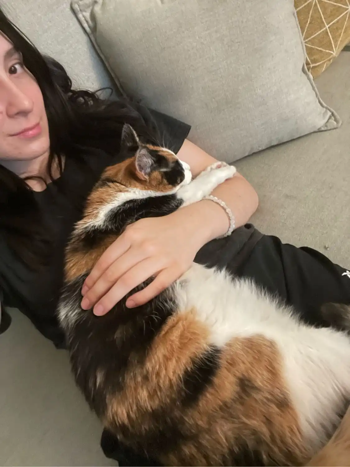 image-6