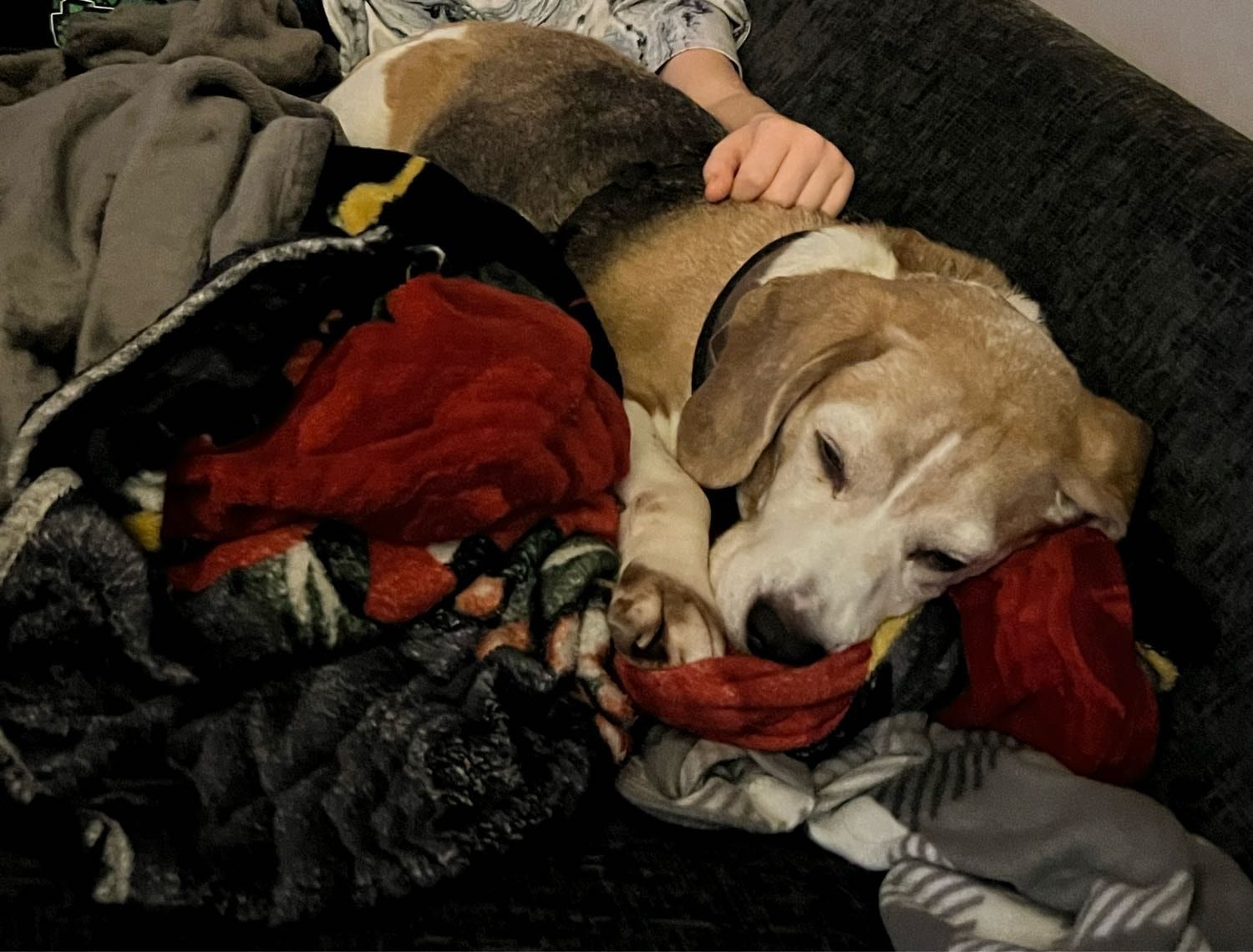 image-41